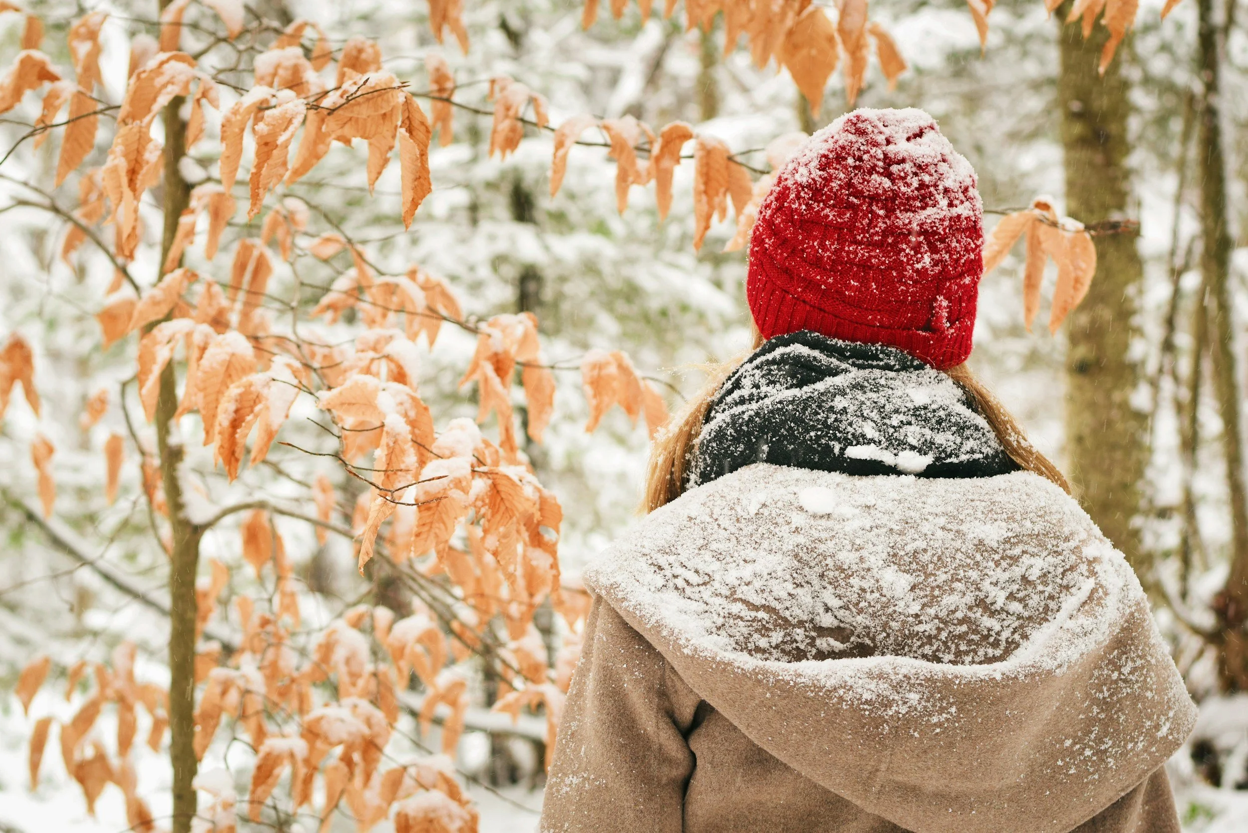 Get Ahead of Your Seasonal Depression this Year