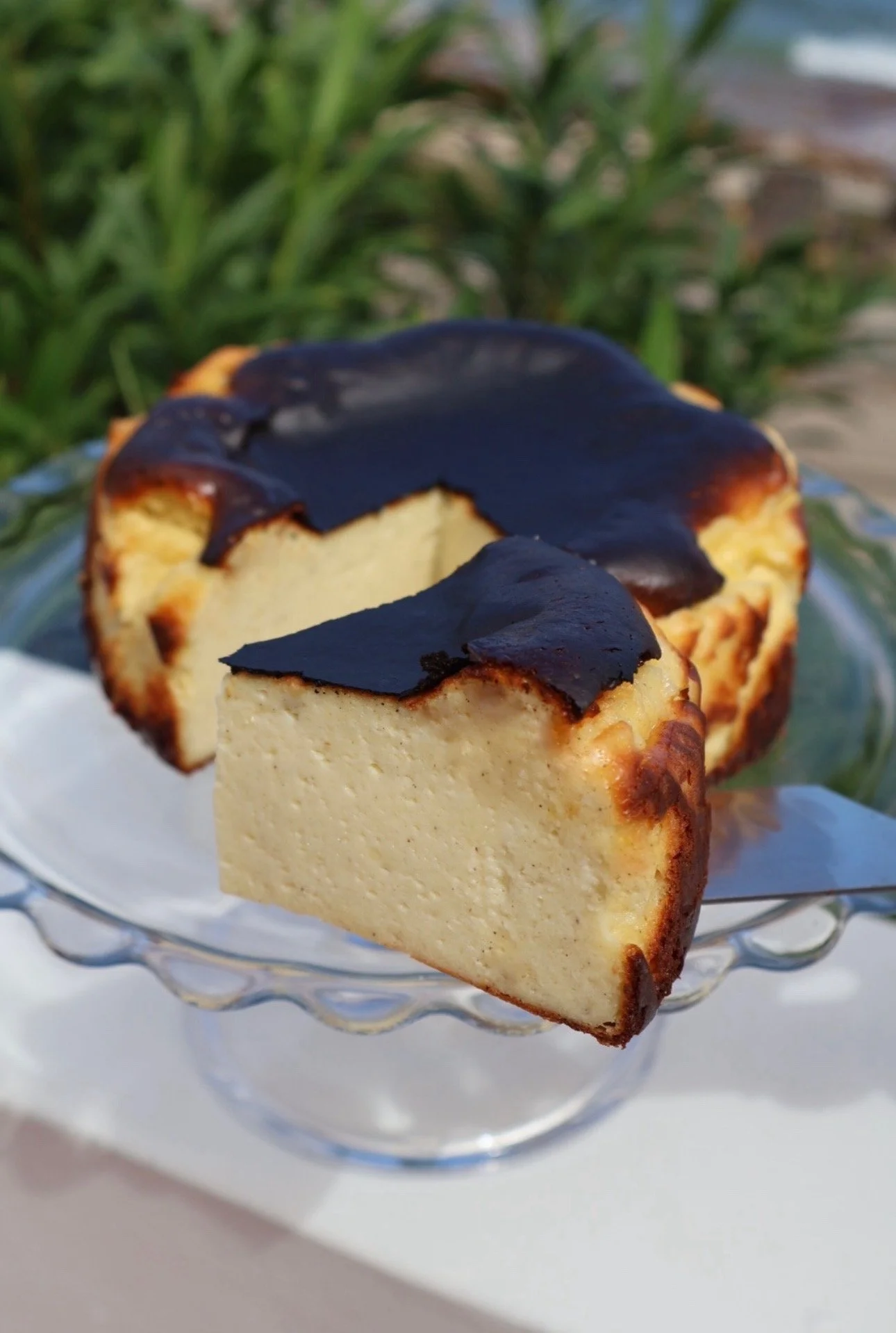 Burnt Basque Cheesecake