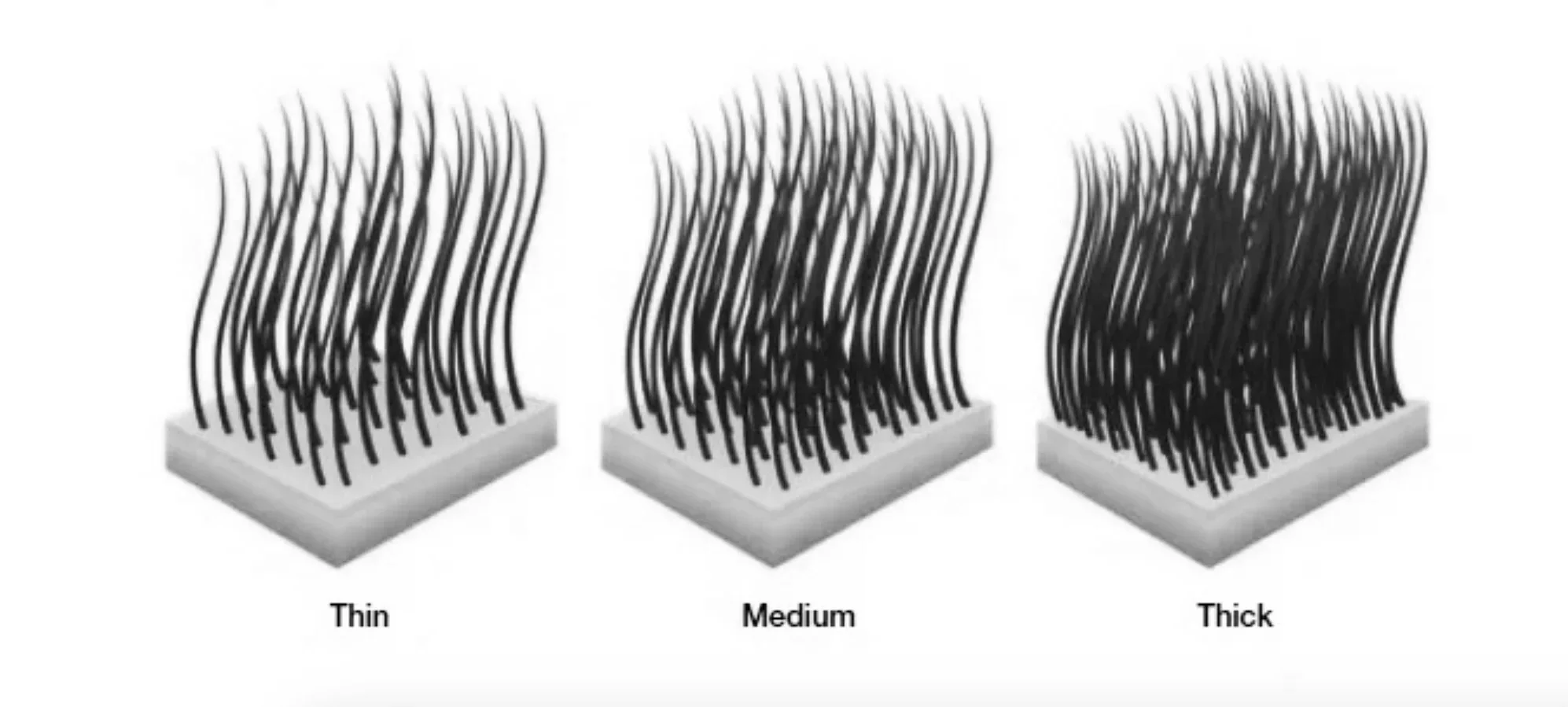 Understanding Hair Density vs. Hair Thickness: What’s the Difference?