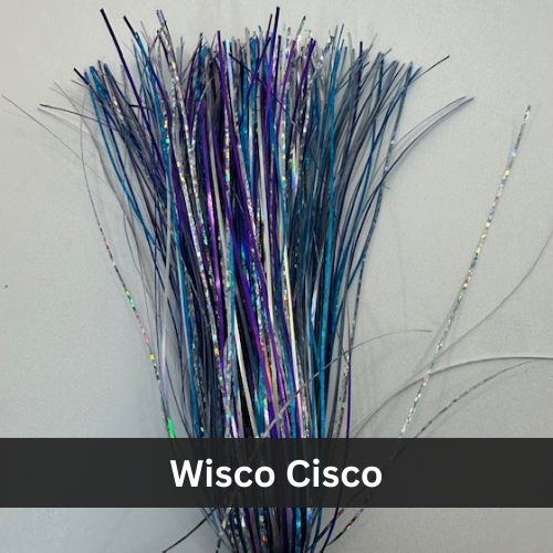 wisco cisco.png