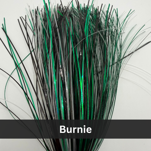 LL31-084 Burnie.png