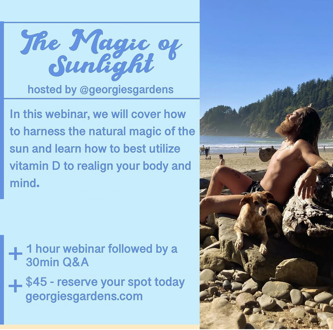 webinar graphic no date 2.png