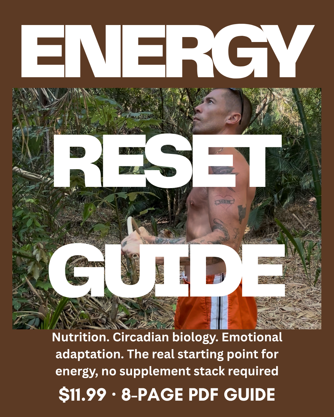 The Energy Reset Guide