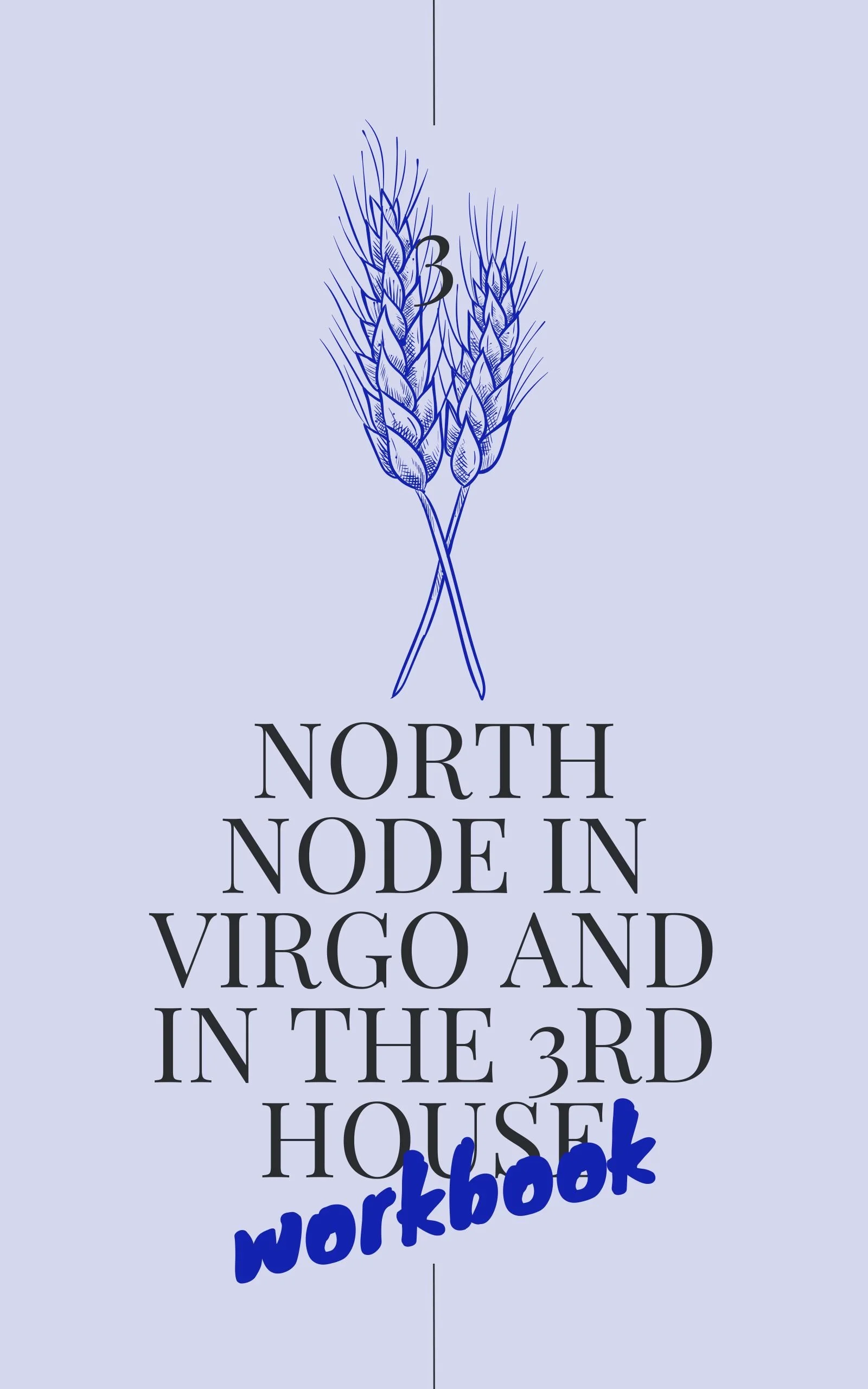 Workbook Cover Virgo H3.jpg