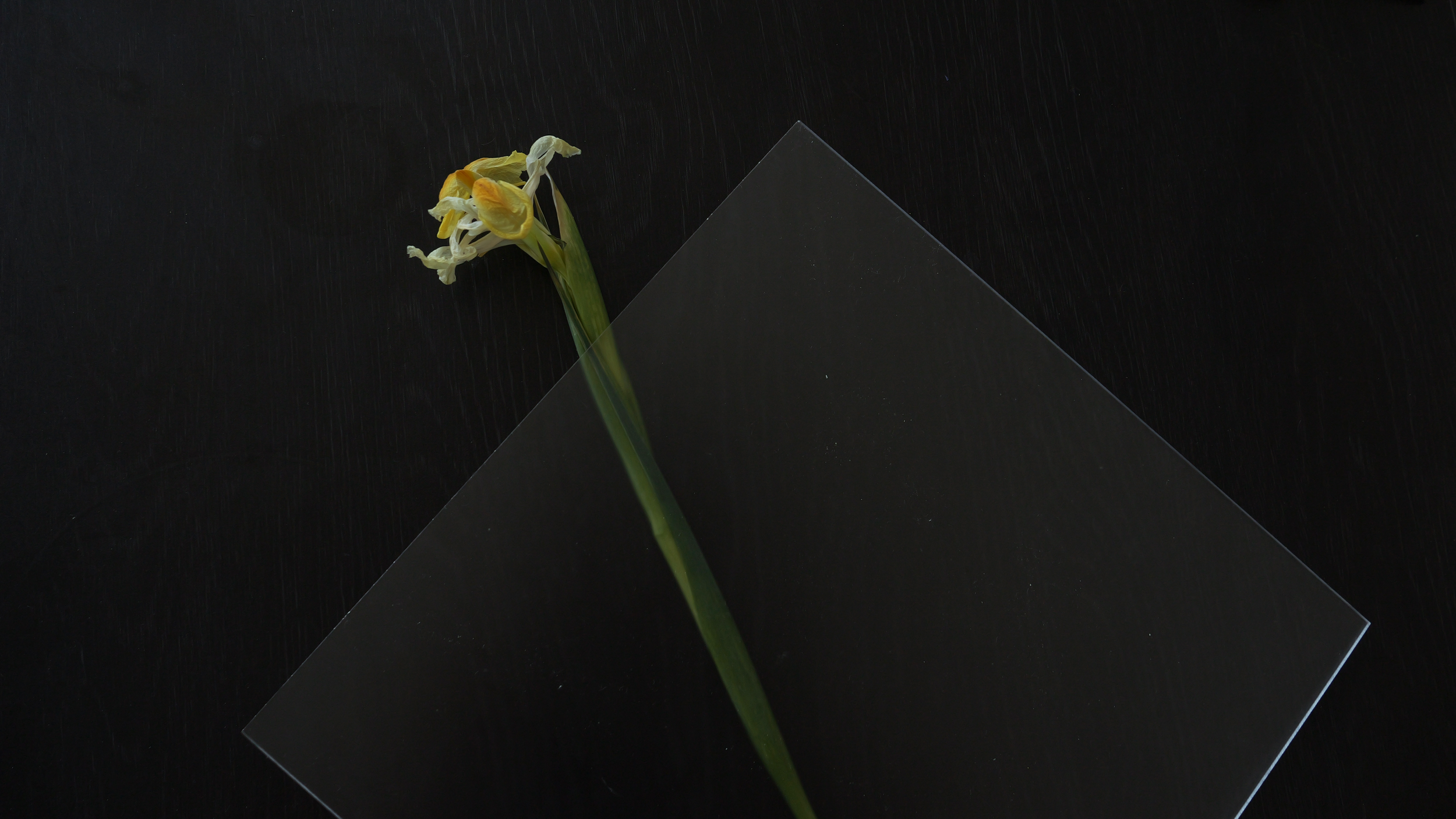 flower_glass.png
