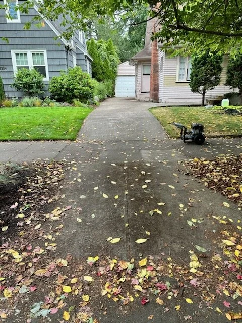 Driveway Before .jpg