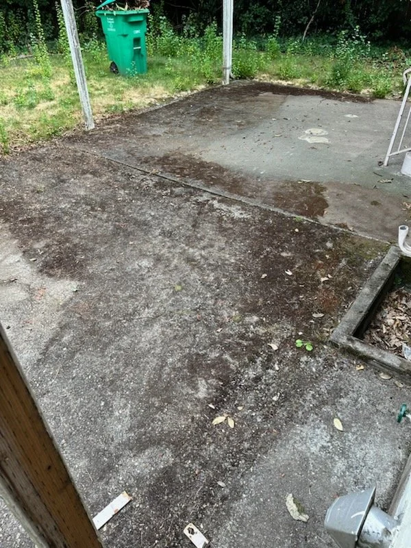 Patio Before.jpg