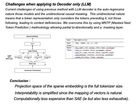 Noel — "Alternative approach for Sparse Embeddings for AI Mechanical Interpretability"