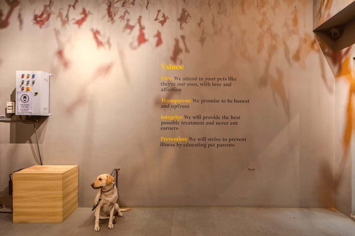 1I4A7977_edit.gif