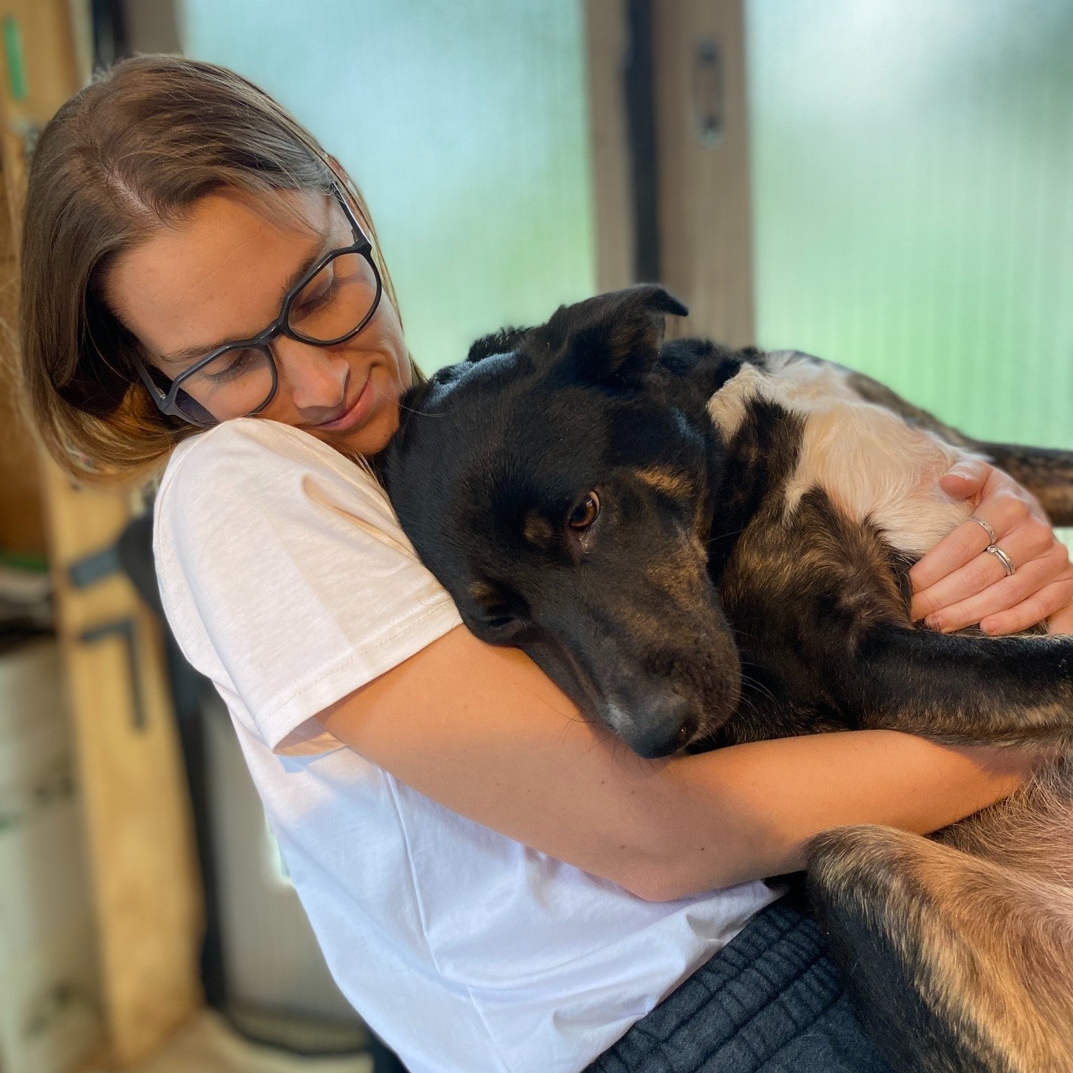 Team meetings look a little different around here.
Strategic cuddles, morale boosting, and the occasional creative input from the Chief Happiness Officer (Peppa).
She takes her role very seriously 

#morphandmould #studioassistant #dogsatwork #makers