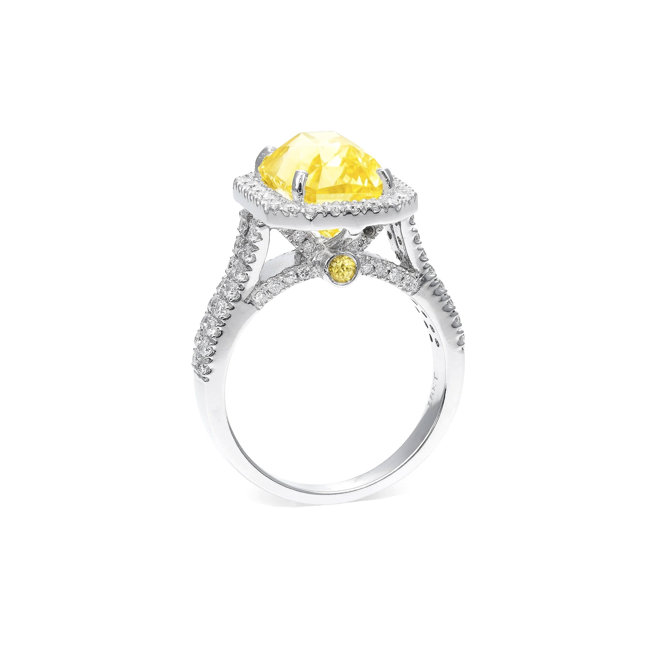 ring-template-website-front+2.jpg