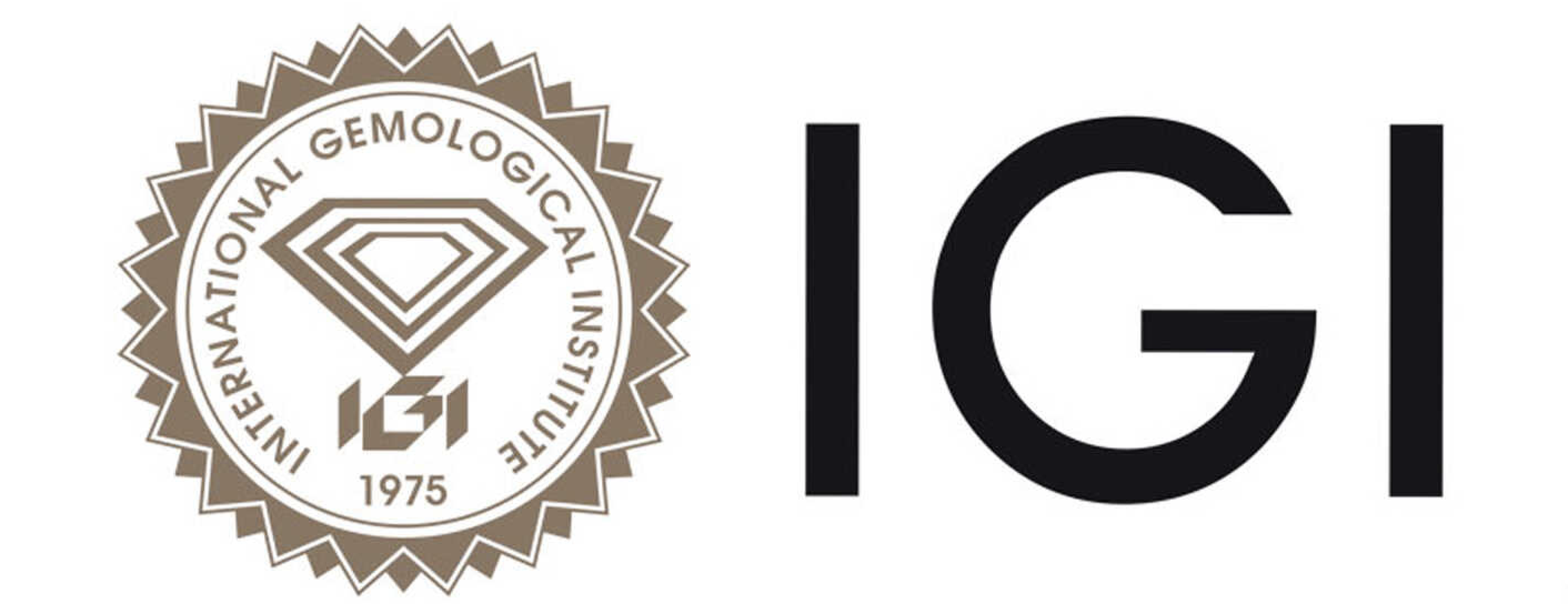 The logo of the International Gemological Institute (IGI), featuring a diamond shape with concentric lines, and the text 'IGI' beside it, on a white background.