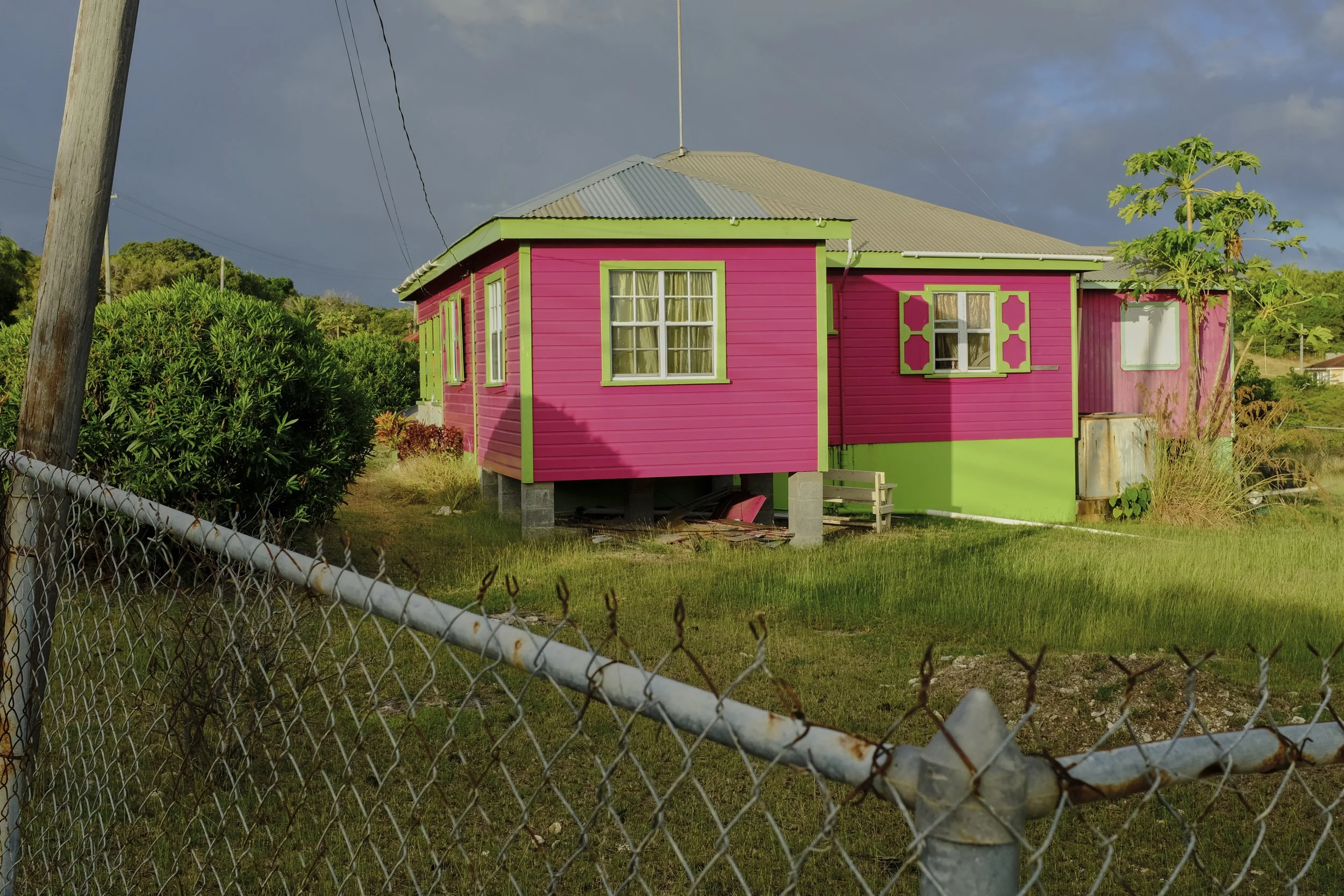pink house in village.jpg