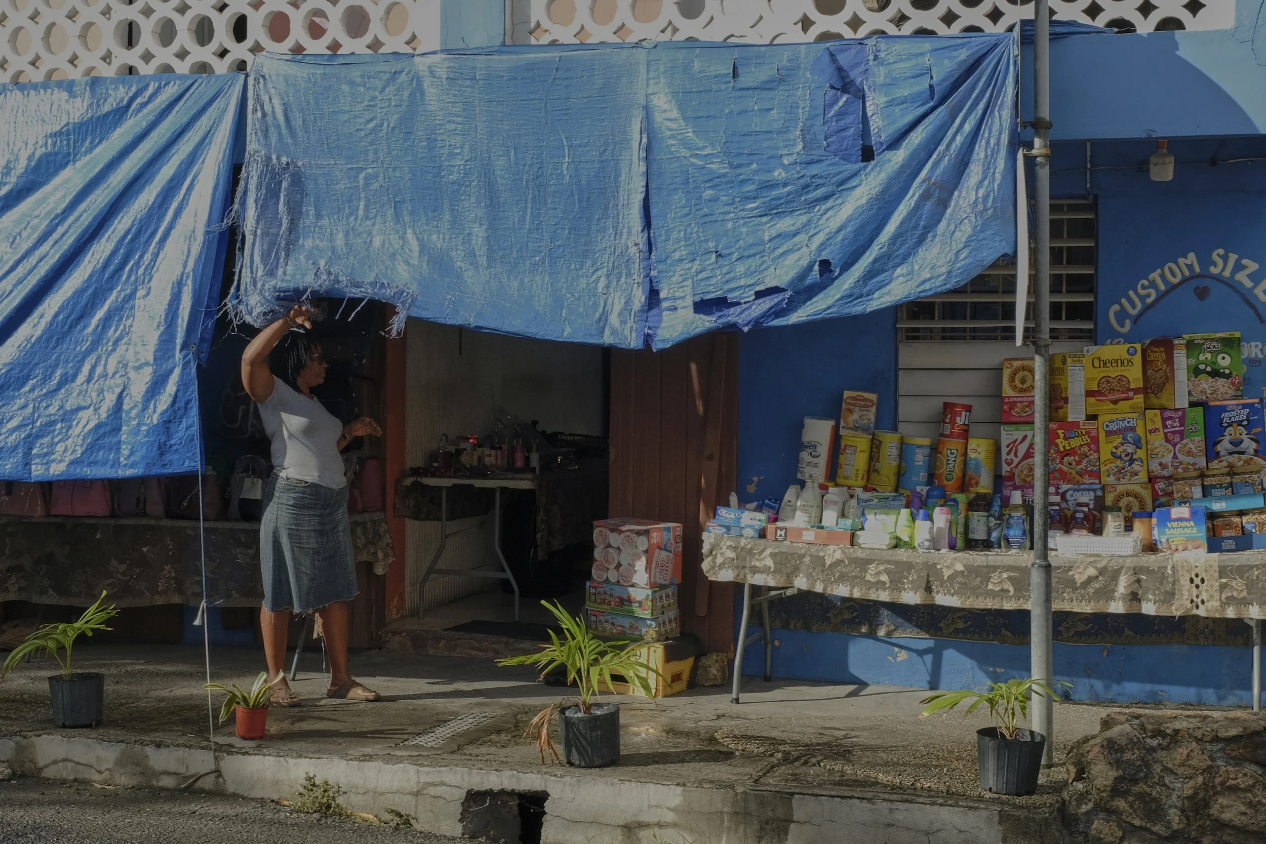 store with blue tarps.jpg