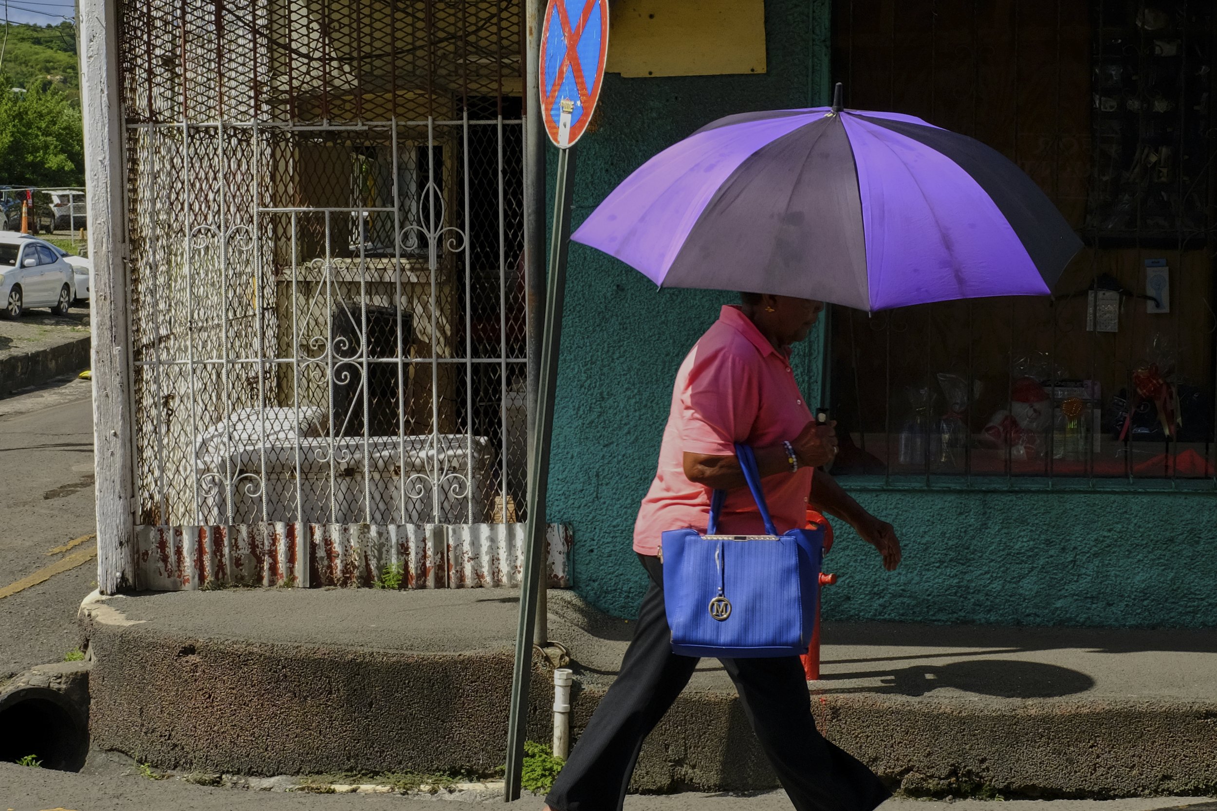 shiny umbrella carrier.jpg