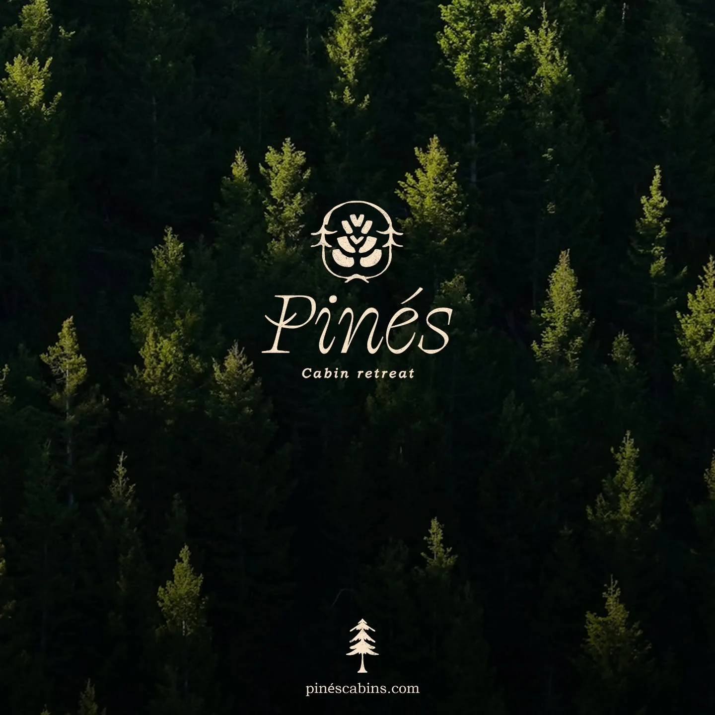 Pines cabin retreat 🌲

Design for #modernbriefpines :)