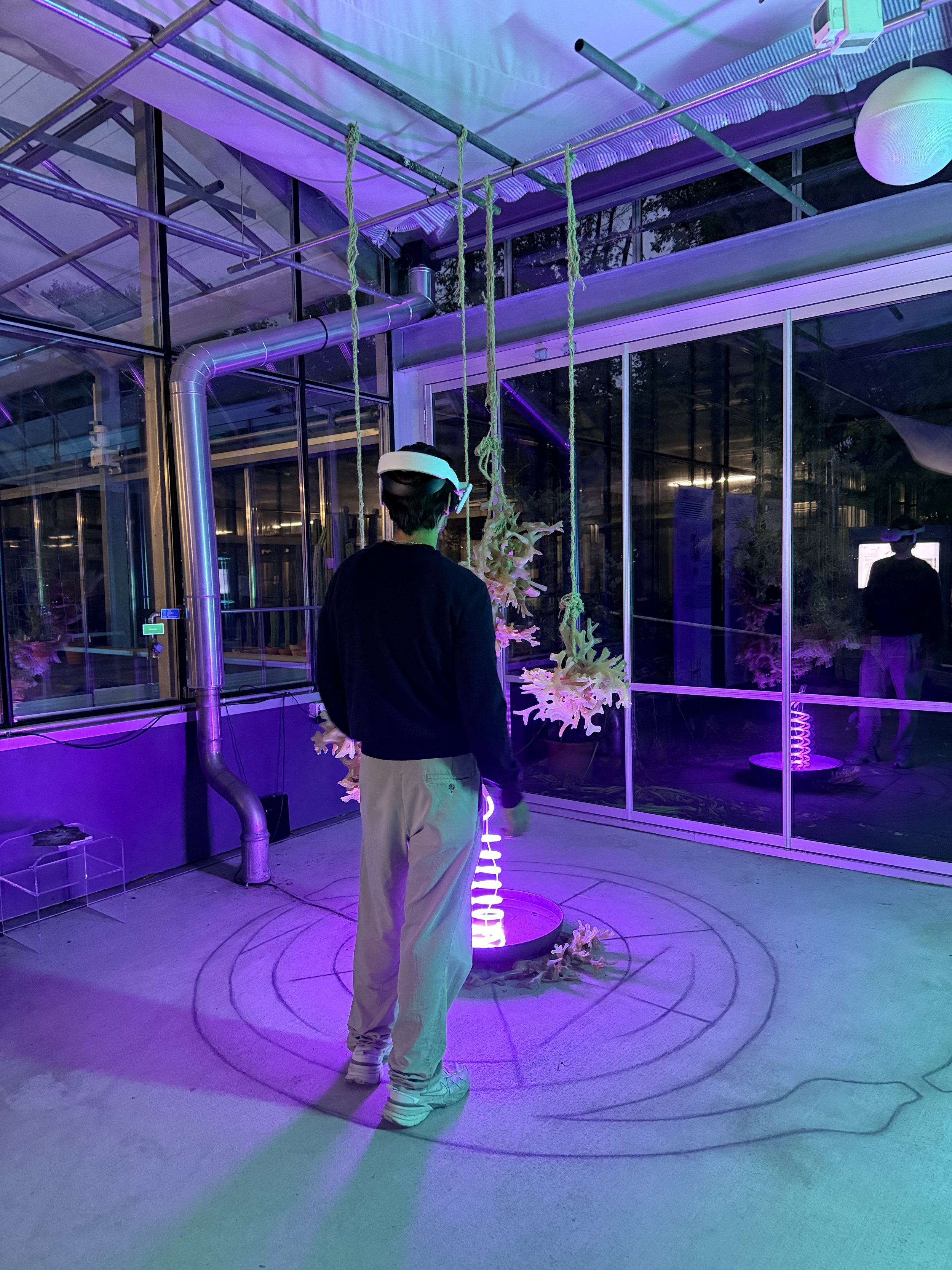 Ausstellung "Pflanzen als Medizin – Vielfalt in der Schweiz"