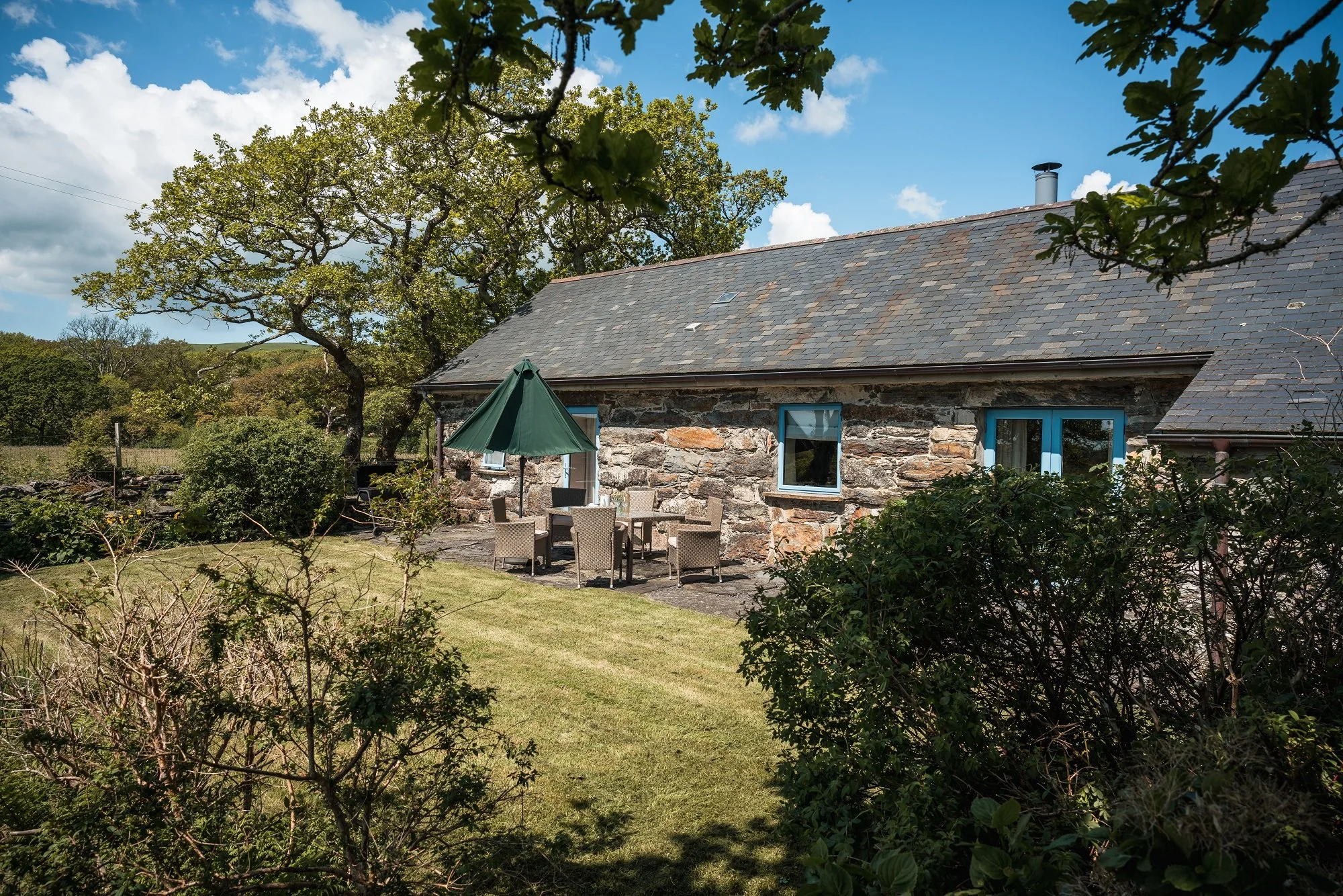 enclosed dog friendly garden.jpg