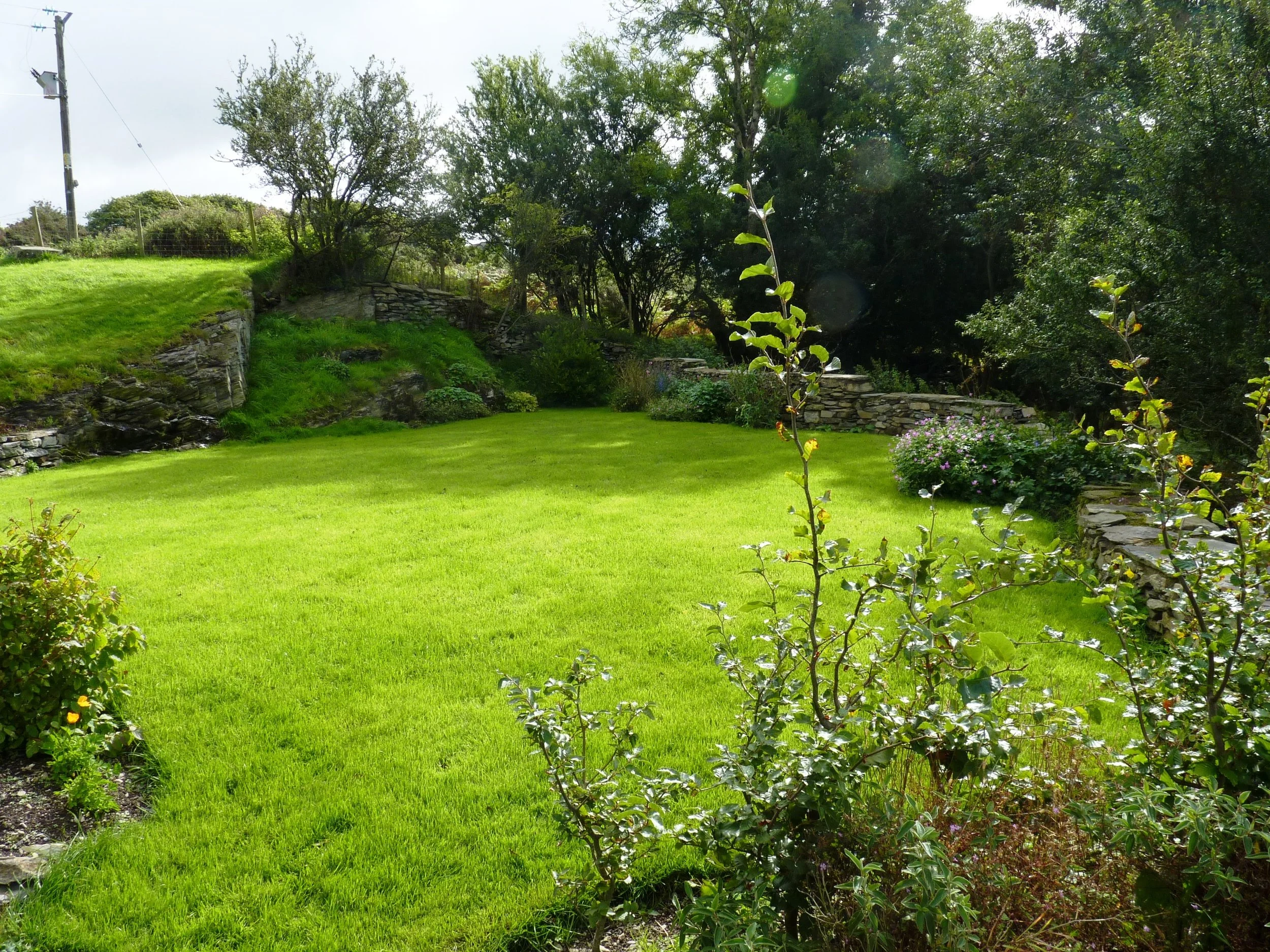 TYN LLECH GARDEN 3.jpg