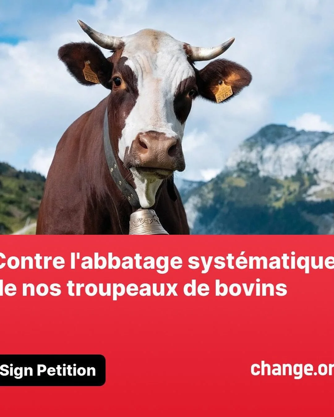 1 animal qui pr&eacute;sente des sympt&ocirc;mes d&rsquo;une maladie non transmissible &agrave; l&rsquo;homme et c&rsquo;est tout le troupeau qui est abattu
Ou comment faire de la place pour rentrer les merdes du mercosur et vendre des bagnoles allem