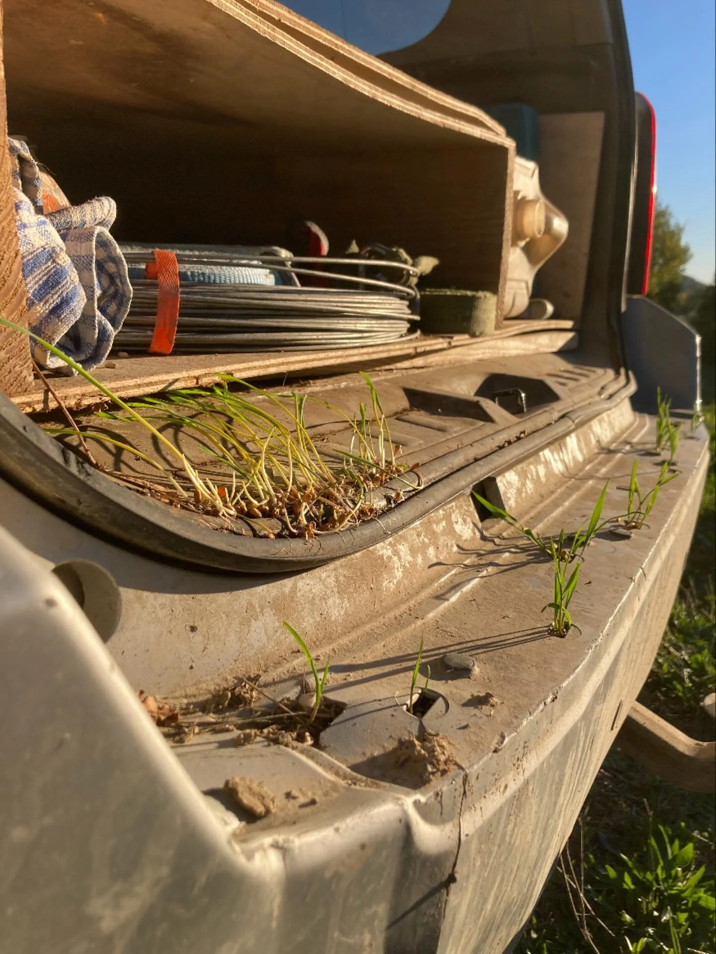 Bient&ocirc;t les moissons 🪴 💧 ☀️

#ble #bio #nature #moisson