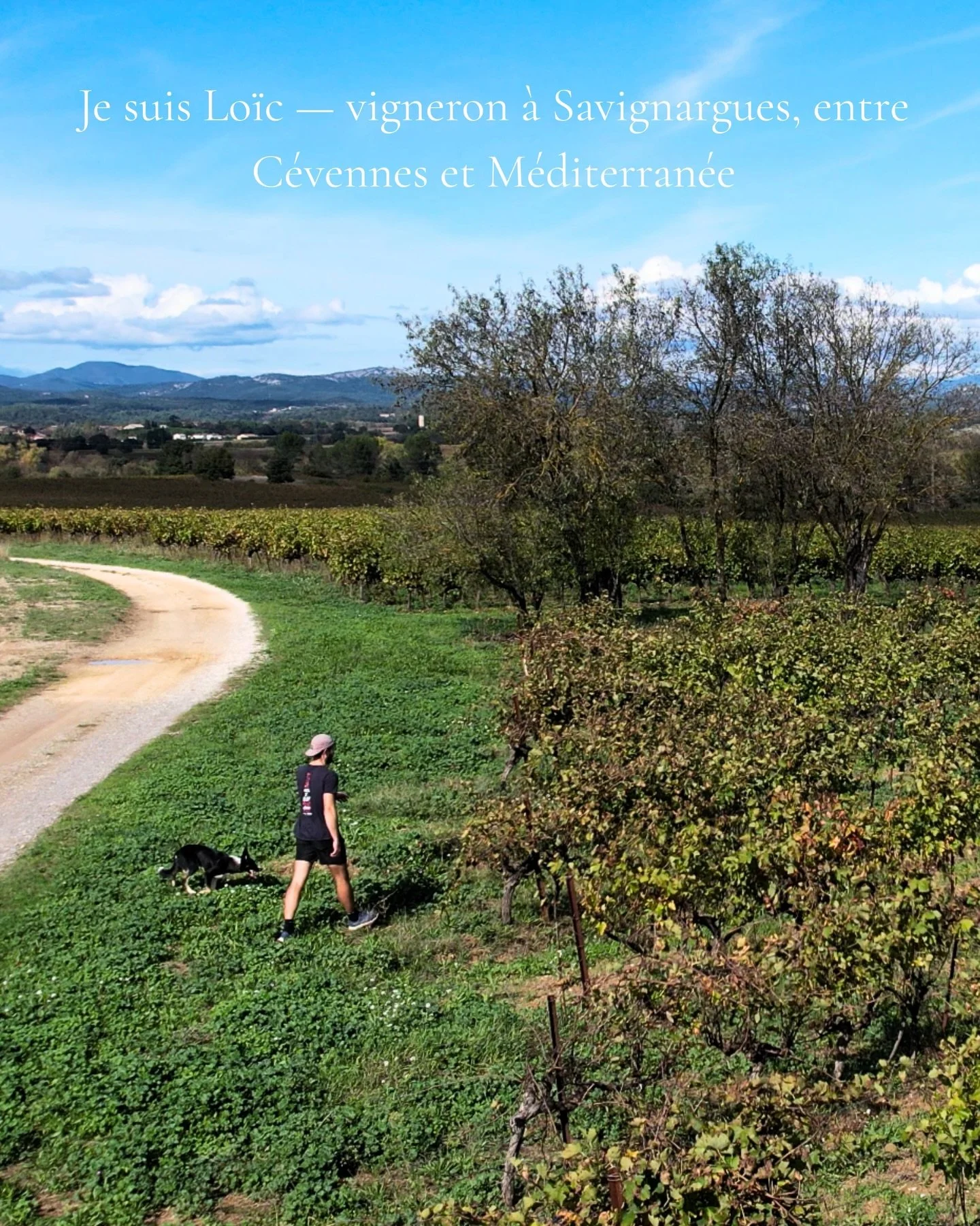 Bonjour, je suis Lo&iuml;c &mdash; vigneron &agrave; Savignargues, entre C&eacute;vennes et M&eacute;diterran&eacute;e.

Je travaille aujourd&rsquo;hui sur les terres de mon p&egrave;re.
J&rsquo;ai grandi ici, au milieu des vignes.
Clau du Sol, c&rsq