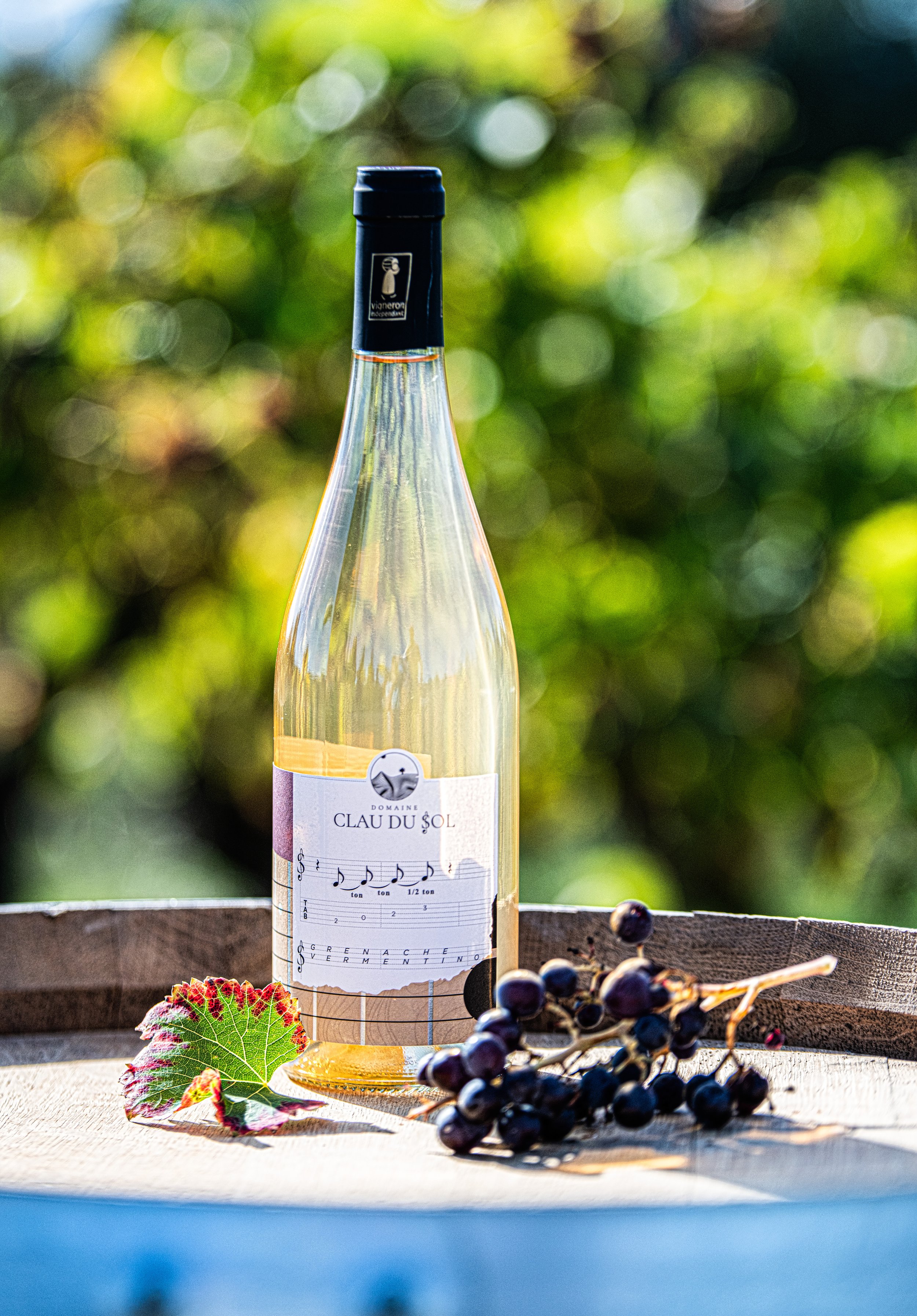Ton Ton demi-ton - Gris - Grenache-Vermentino - 2023