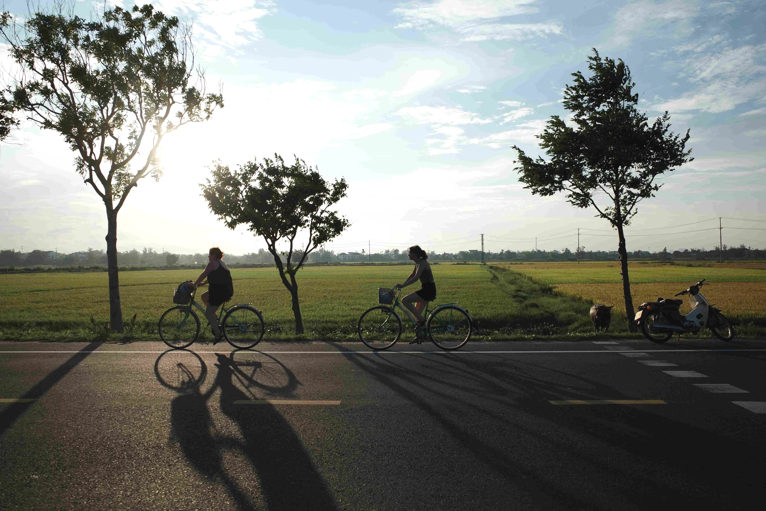 Two people riding bicycles along a rural road with trees and open fields, during a sunny day with a partly cloudy sky and long shadows on the pavement.