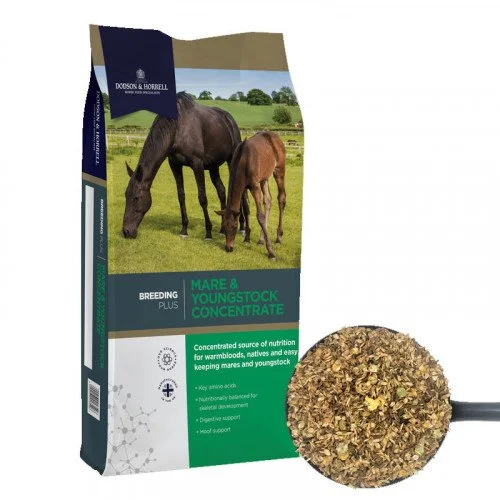 D&H Mare & Youngstock.jpg