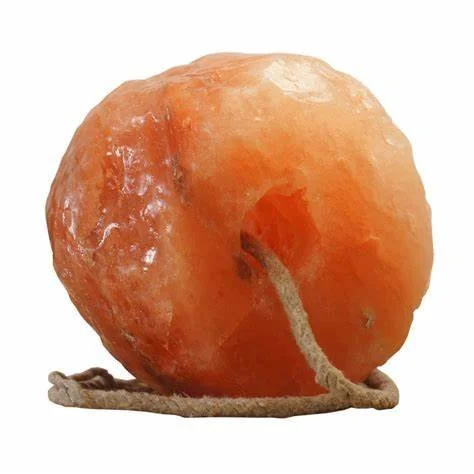 Salt licks.jpg