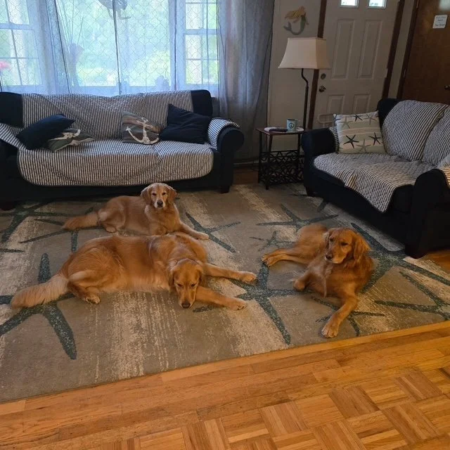 image2.jpeg