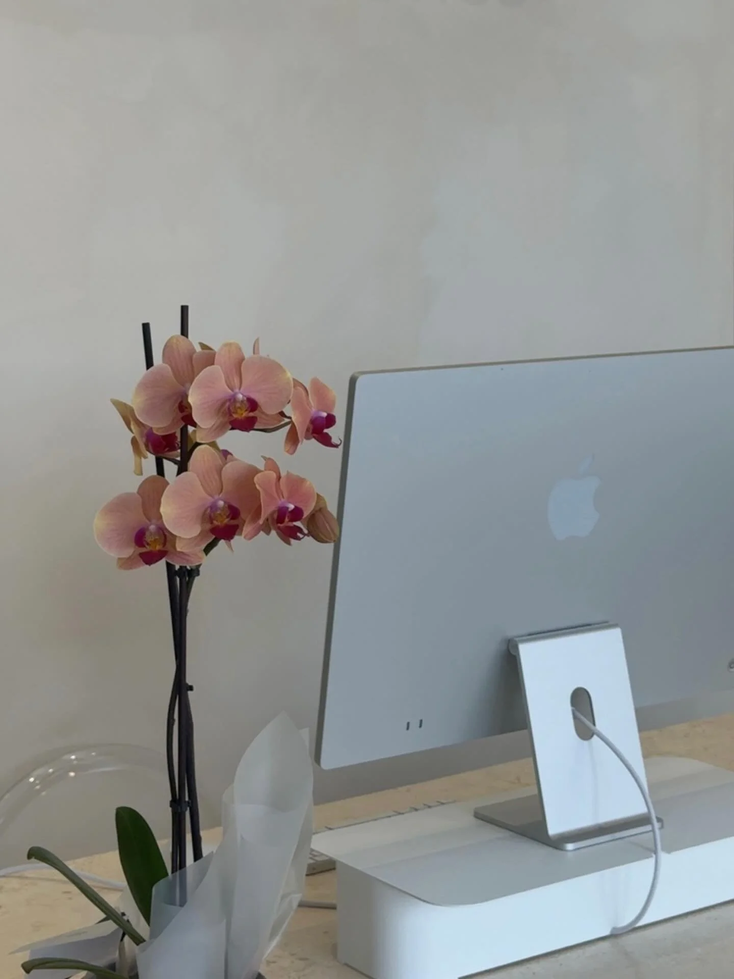pretty blooms 🌸☁️