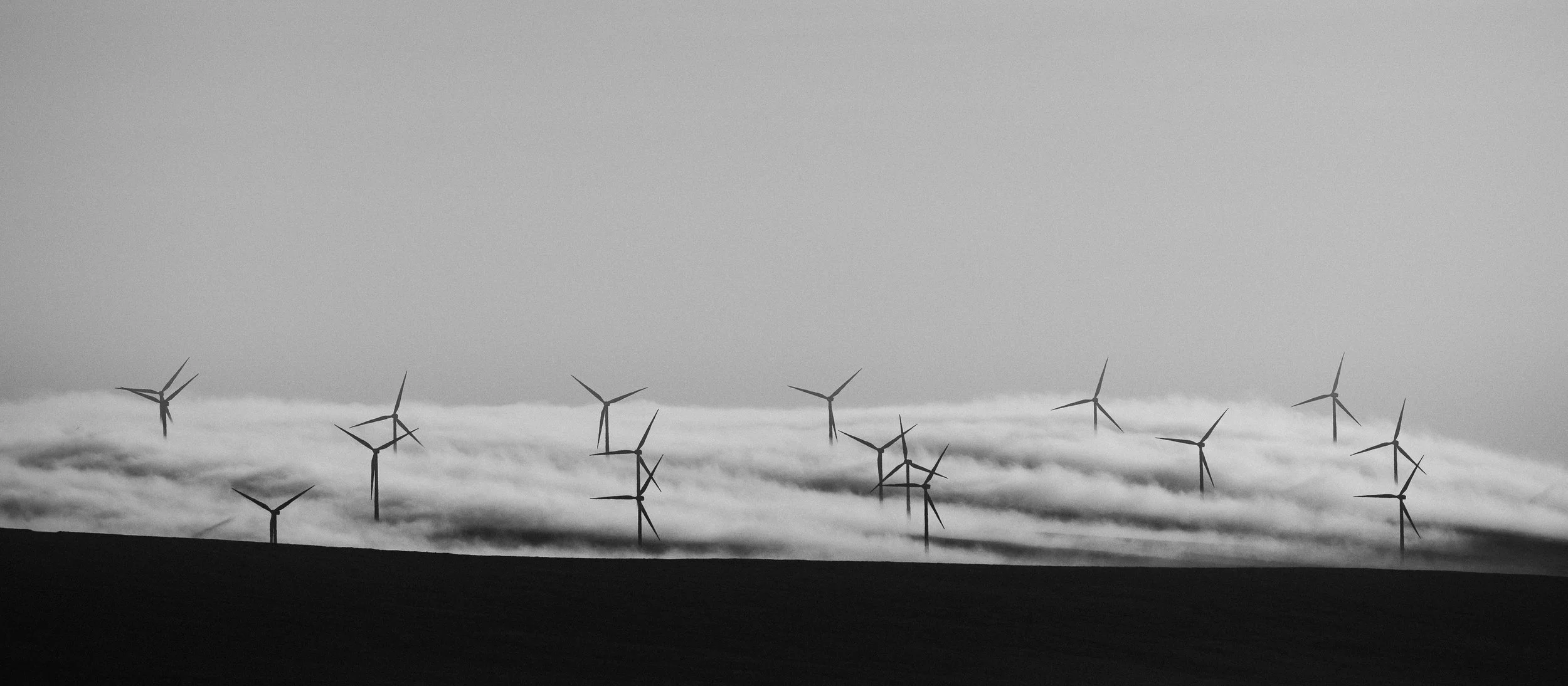 B&W Chris Logue-1.jpg