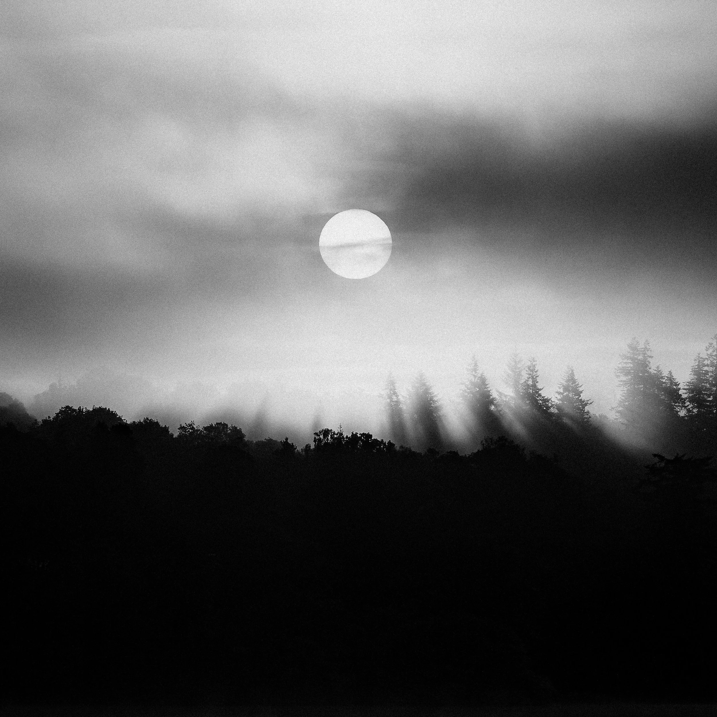 B&W Chris Logue-9.jpg