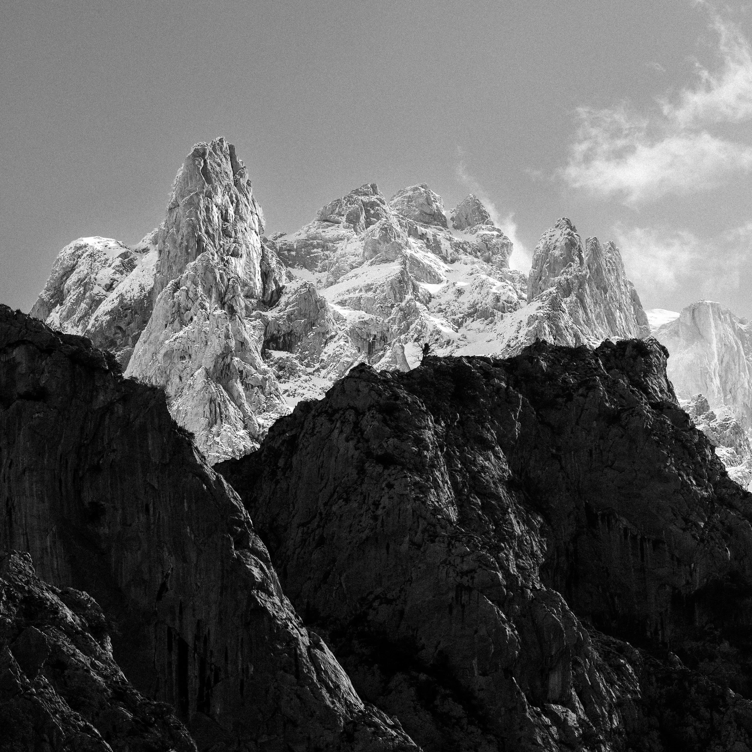 B&W Chris Logue-8.jpg