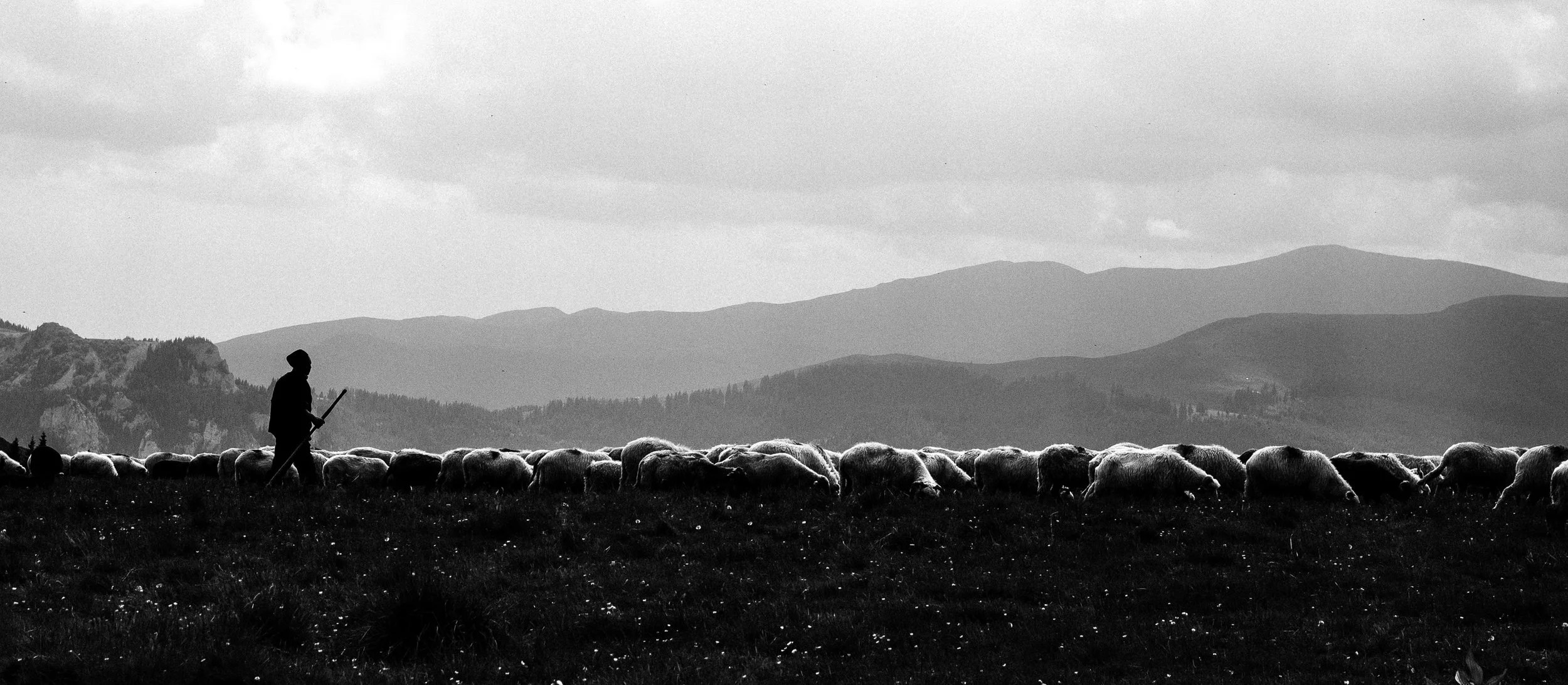 B&W Chris Logue-13.jpg