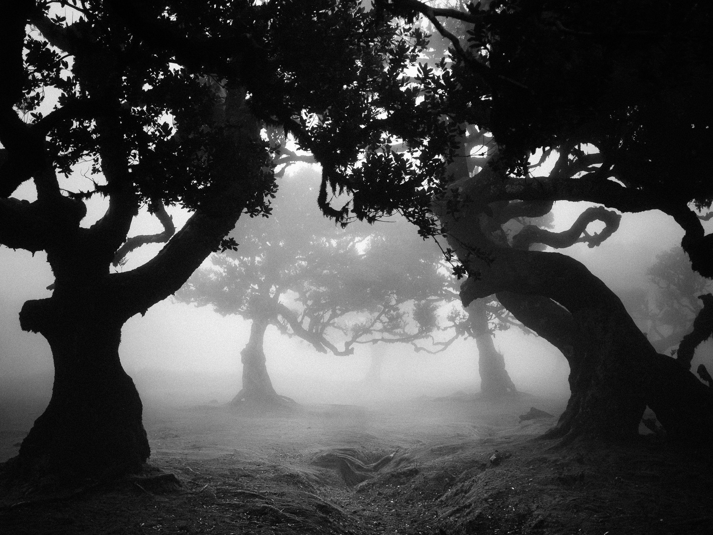 B&W Chris Logue-25.jpg