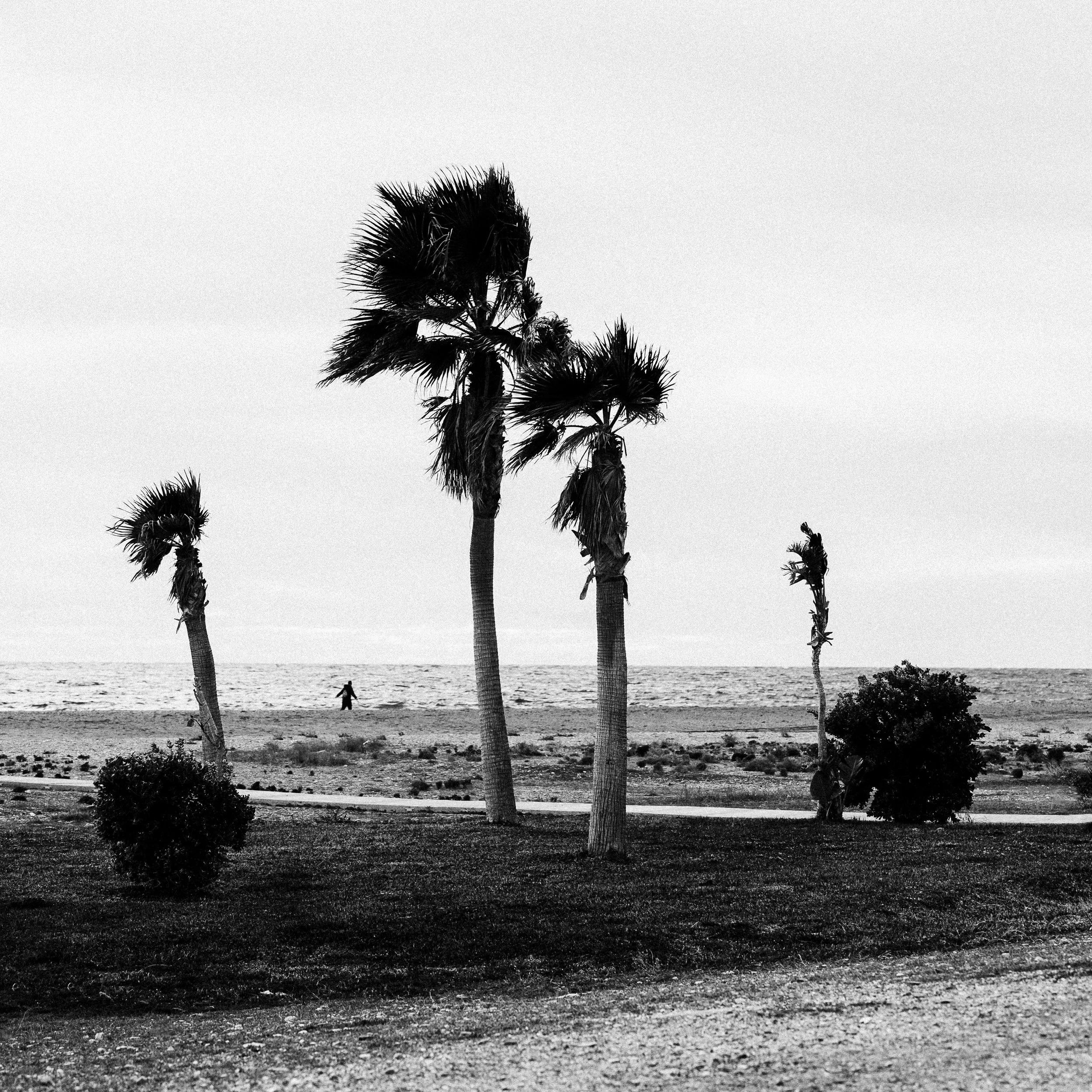 B&W Chris Logue-6.jpg