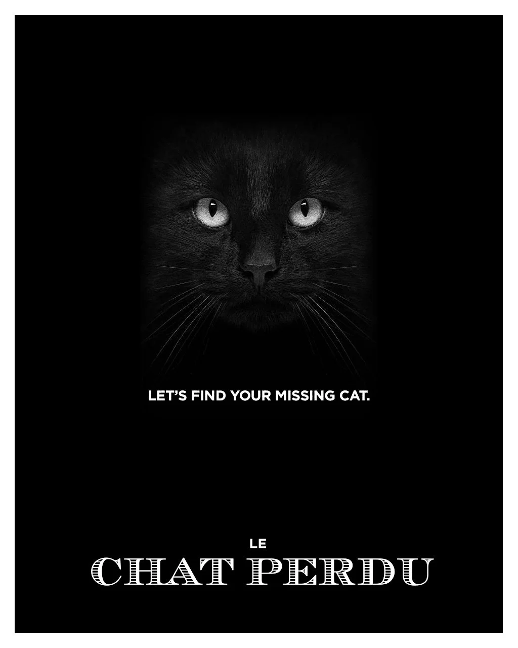 le-chat-perdu---lets-find-your-cat.jpg