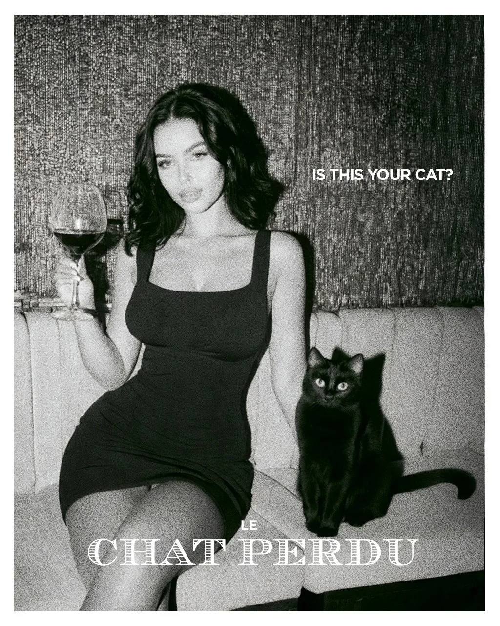 le-chat-perdu-photos-01.jpg