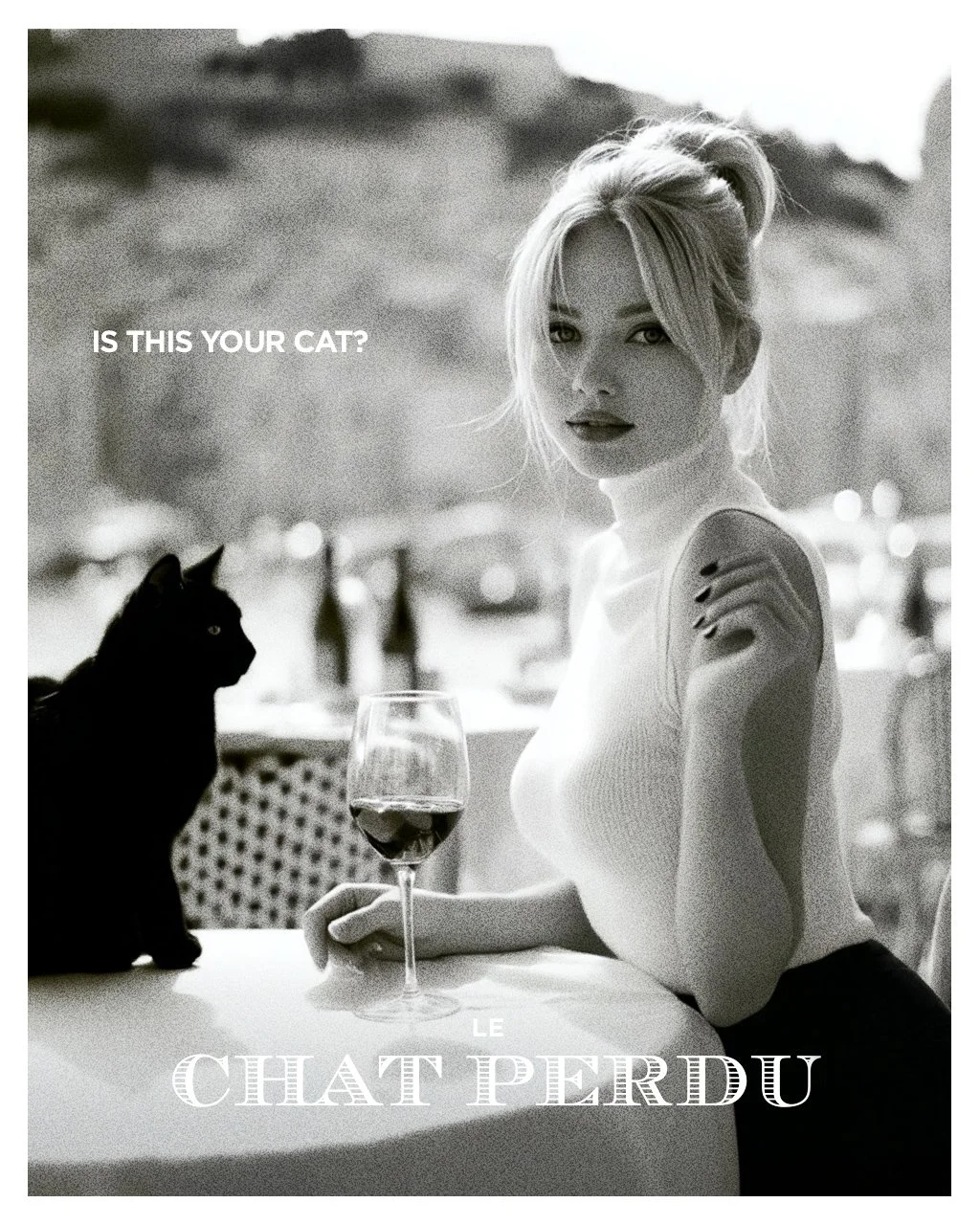 le-chat-perdu-photos-02.jpg