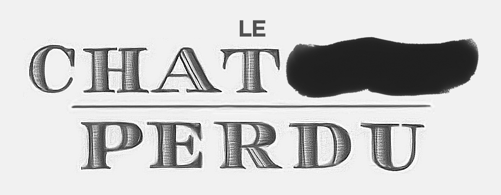 LE CHAT PERDU