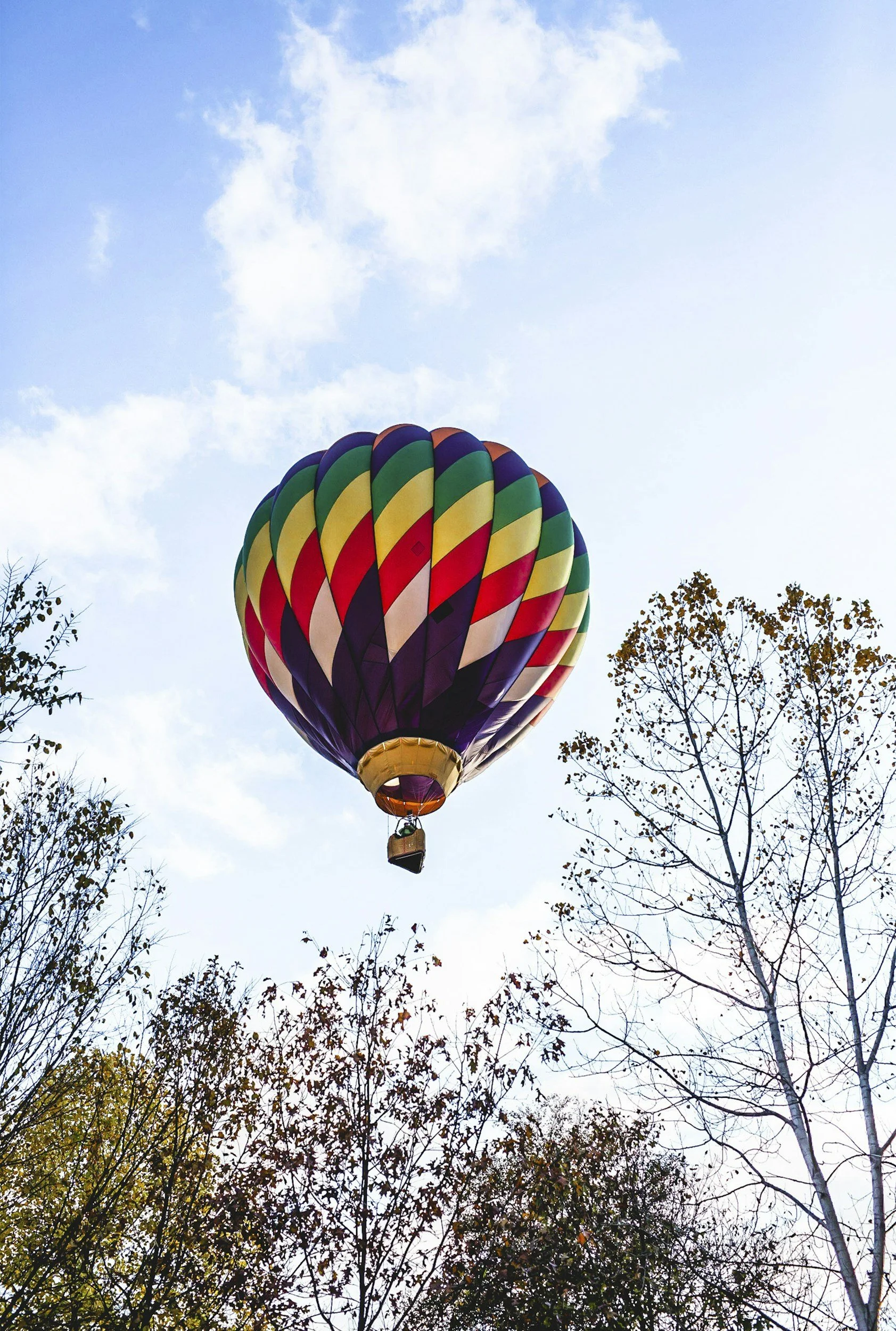 Hot Air Balloon Ride - Summer Activity - Furano