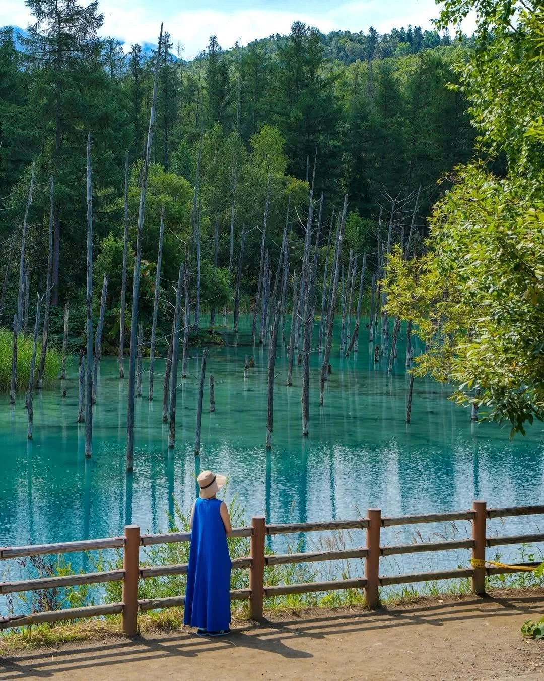 Sightseeing Biei Blue Pond in Furano