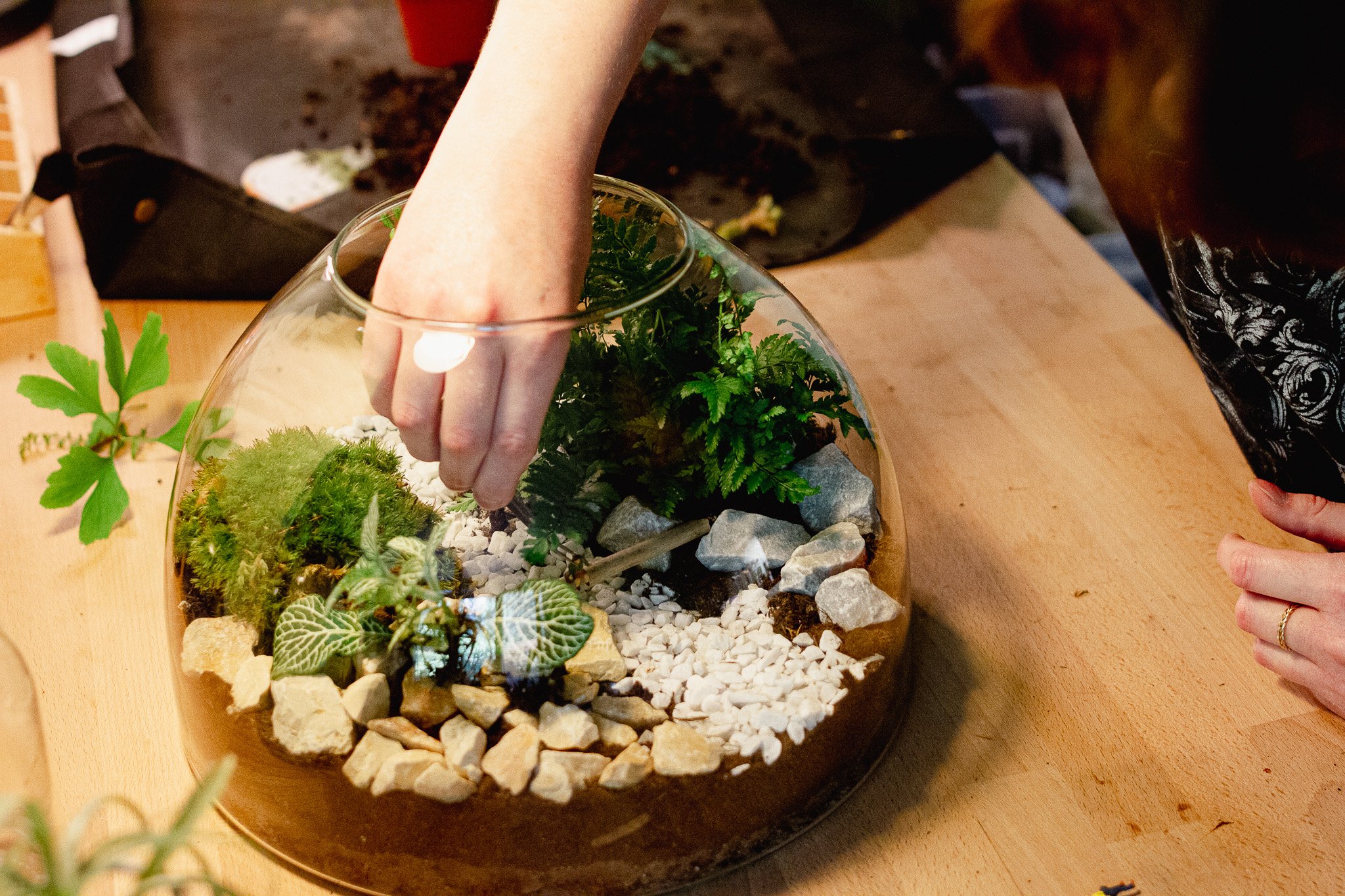 workshop_terrarium_howto-05.jpg