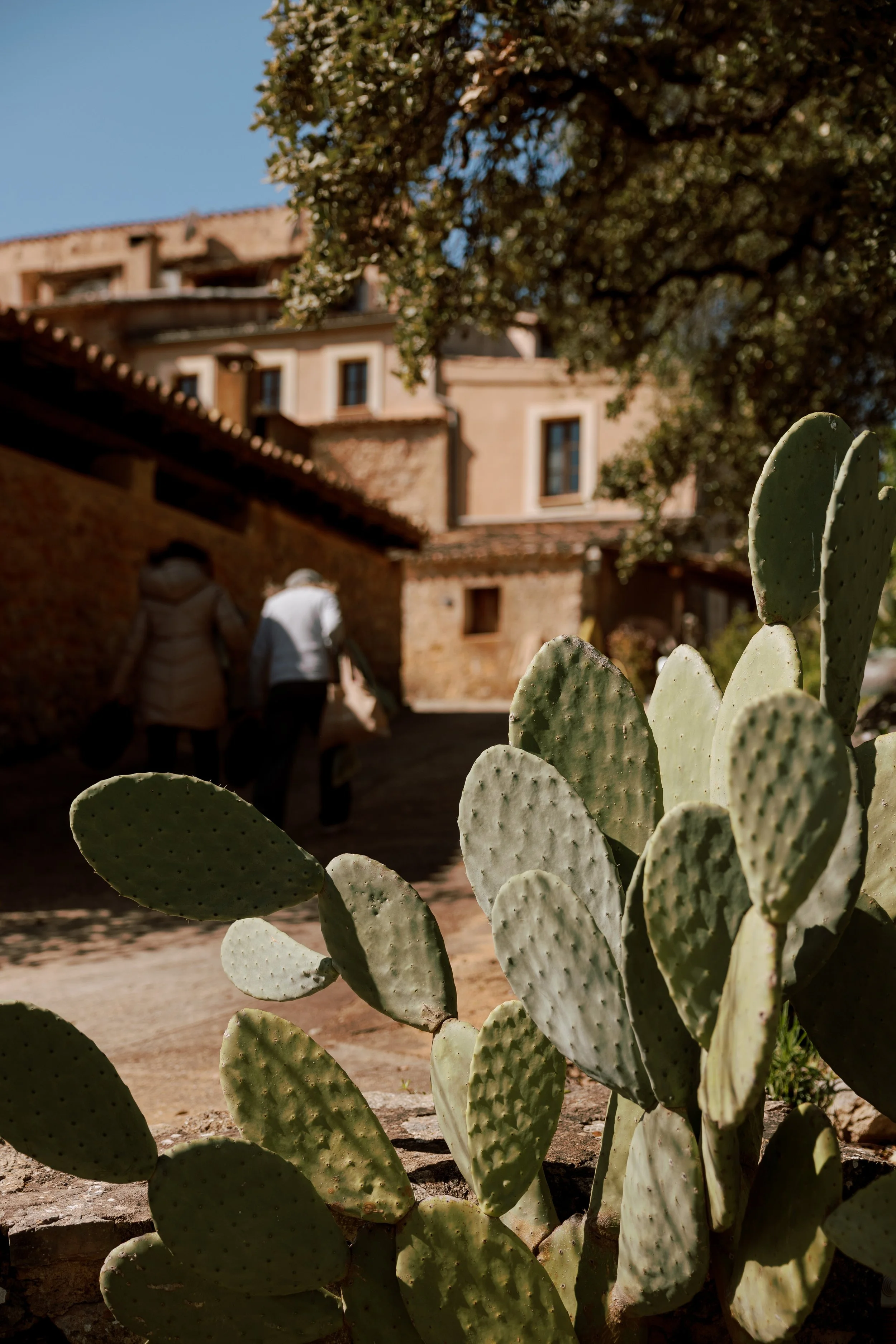 Armando-cantorna-marzo-2026-2 (1).jpg