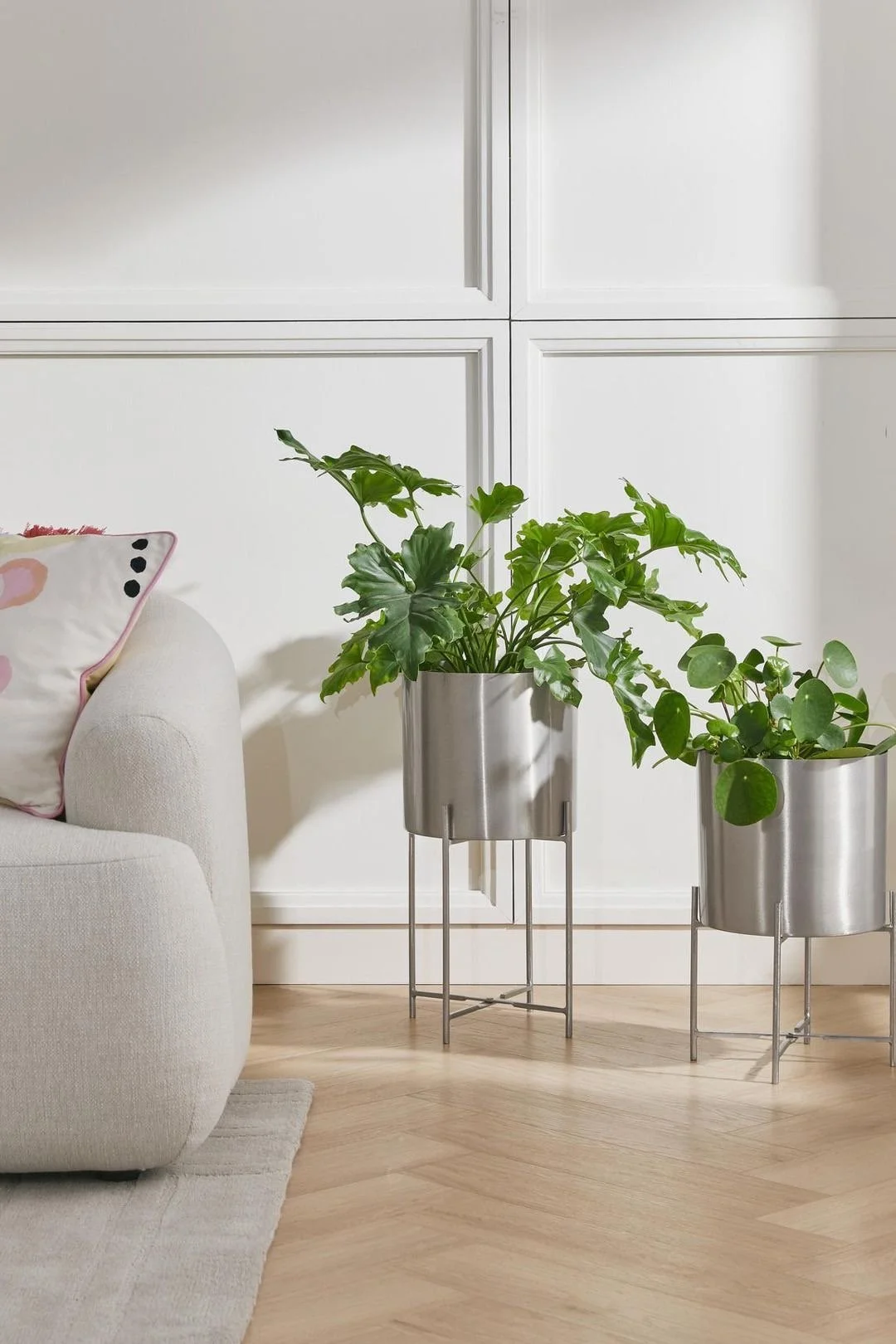 Potere terapeutico delle piante in casa