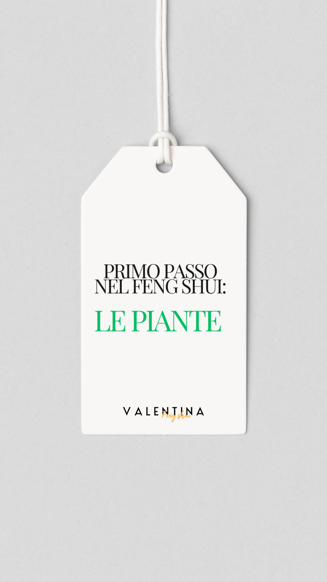 Le piante che creano benessere per il Feng Shui. Ne parlo con Ester Memeo, founder di Podstar.
