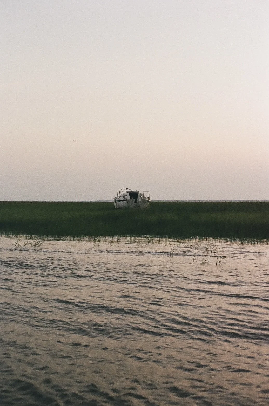 IMG_3016.jpeg