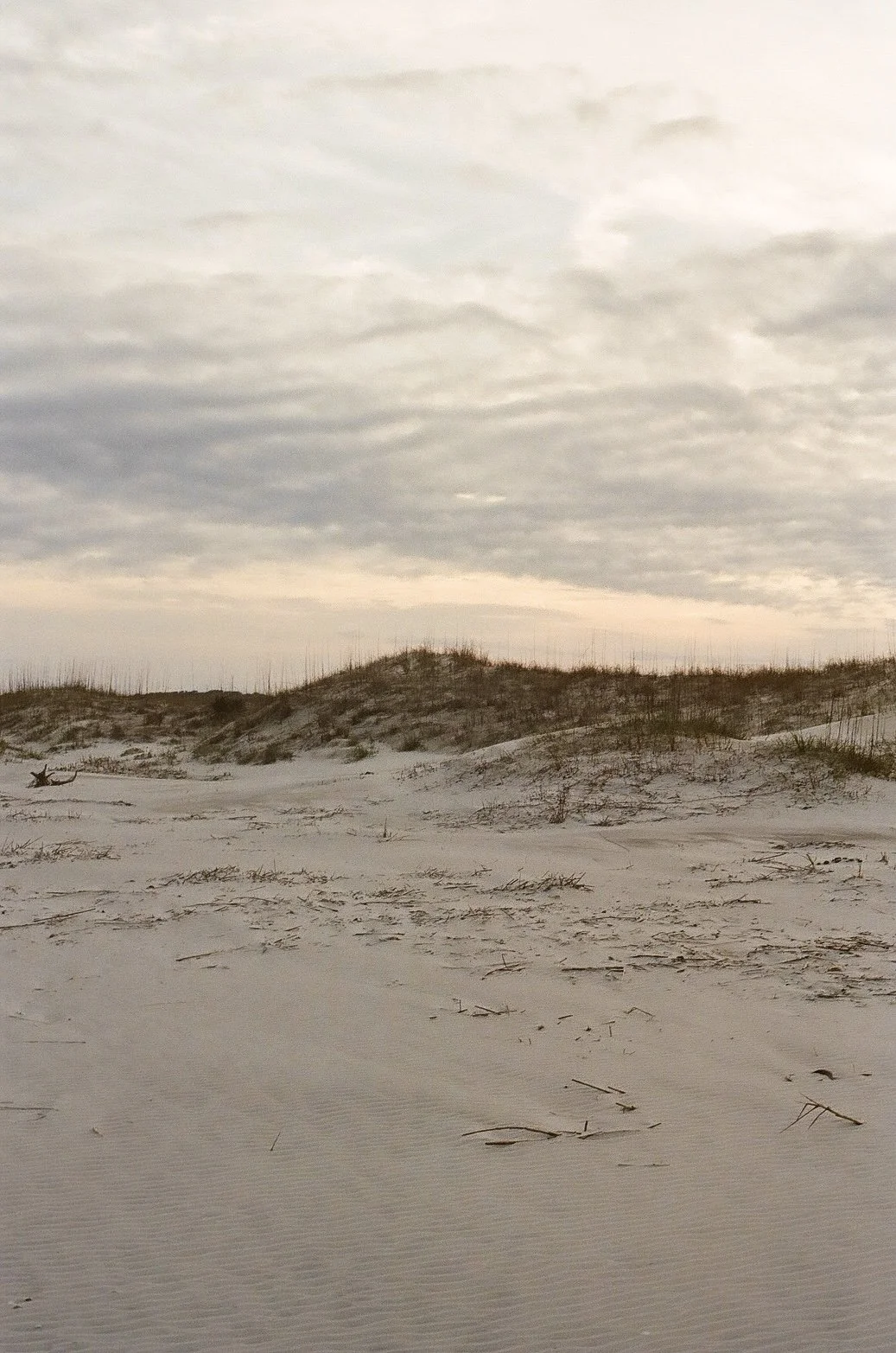 IMG_1911.jpeg